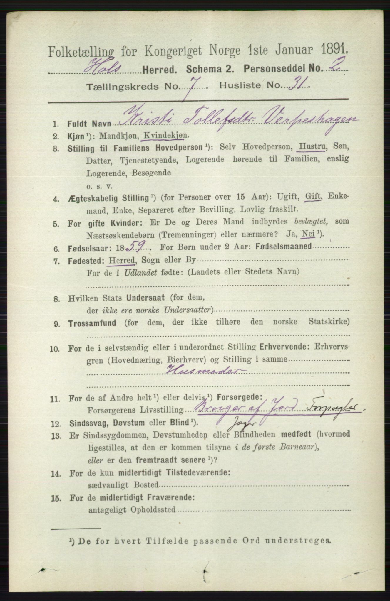 RA, 1891 census for 0620 Hol, 1891, p. 2198