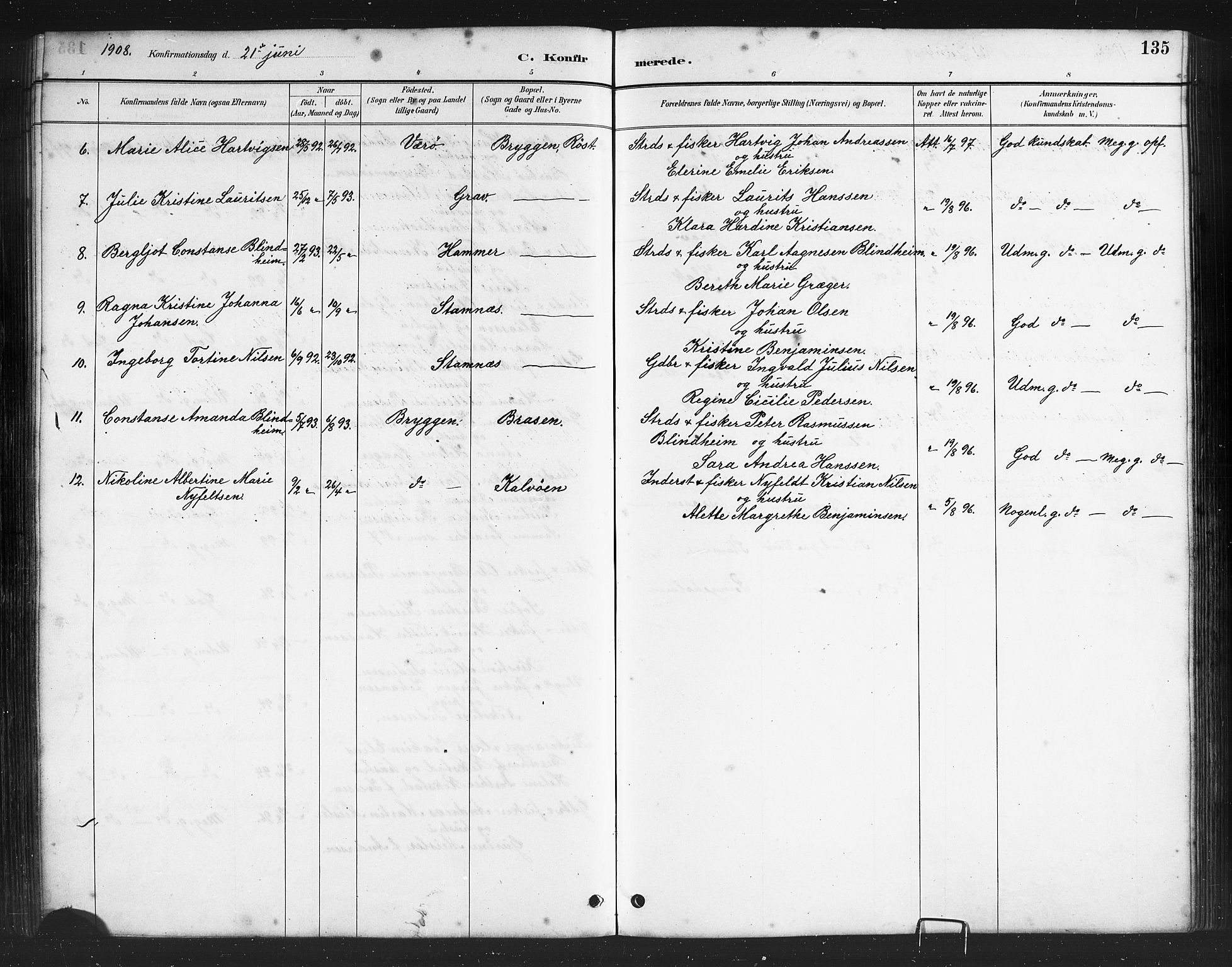 Ministerialprotokoller, klokkerbøker og fødselsregistre - Nordland, AV/SAT-A-1459/808/L0131: Parish register (copy) no. 808C02, 1879-1919, p. 135