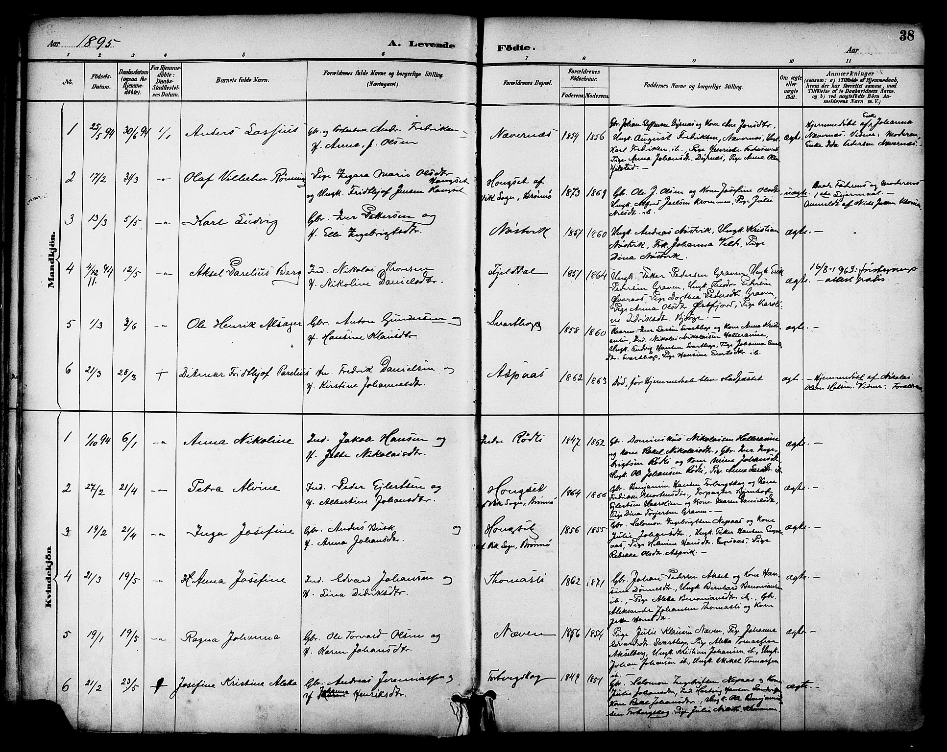 Ministerialprotokoller, klokkerbøker og fødselsregistre - Nordland, AV/SAT-A-1459/814/L0226: Parish register (official) no. 814A07, 1886-1898, p. 38