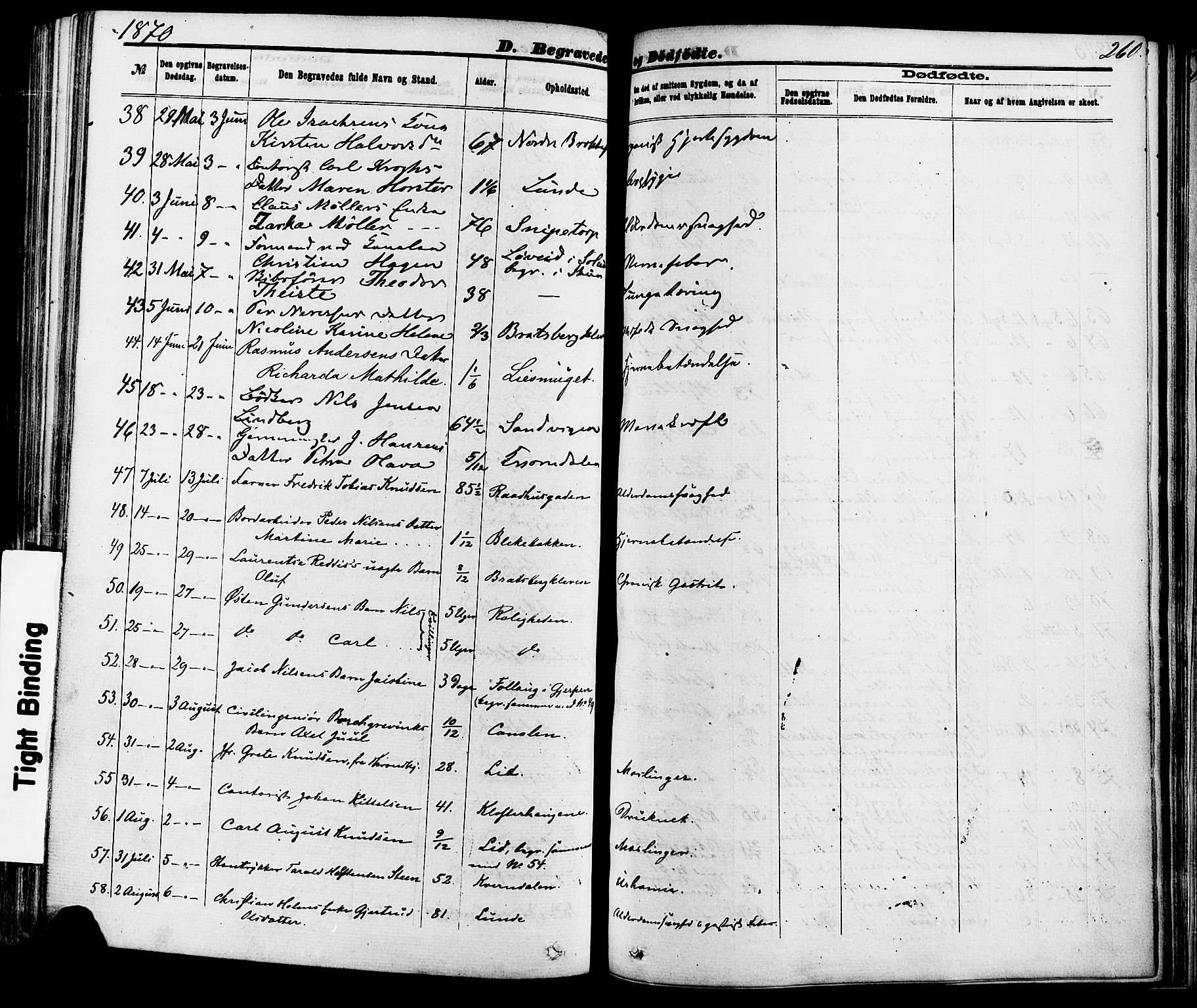 Skien kirkebøker, AV/SAKO-A-302/F/Fa/L0008: Parish register (official) no. 8, 1866-1877, p. 260