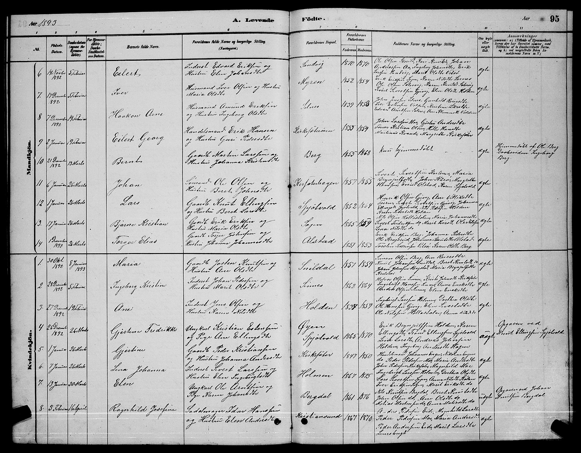 Ministerialprotokoller, klokkerbøker og fødselsregistre - Sør-Trøndelag, SAT/A-1456/630/L0504: Parish register (copy) no. 630C02, 1879-1898, p. 95