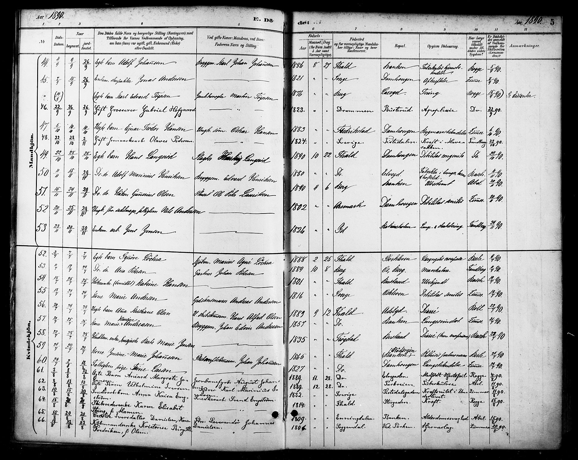 Halden prestekontor Kirkebøker, AV/SAO-A-10909/F/Fa/L0014: Parish register (official) no. I 14, 1890-1906, p. 5