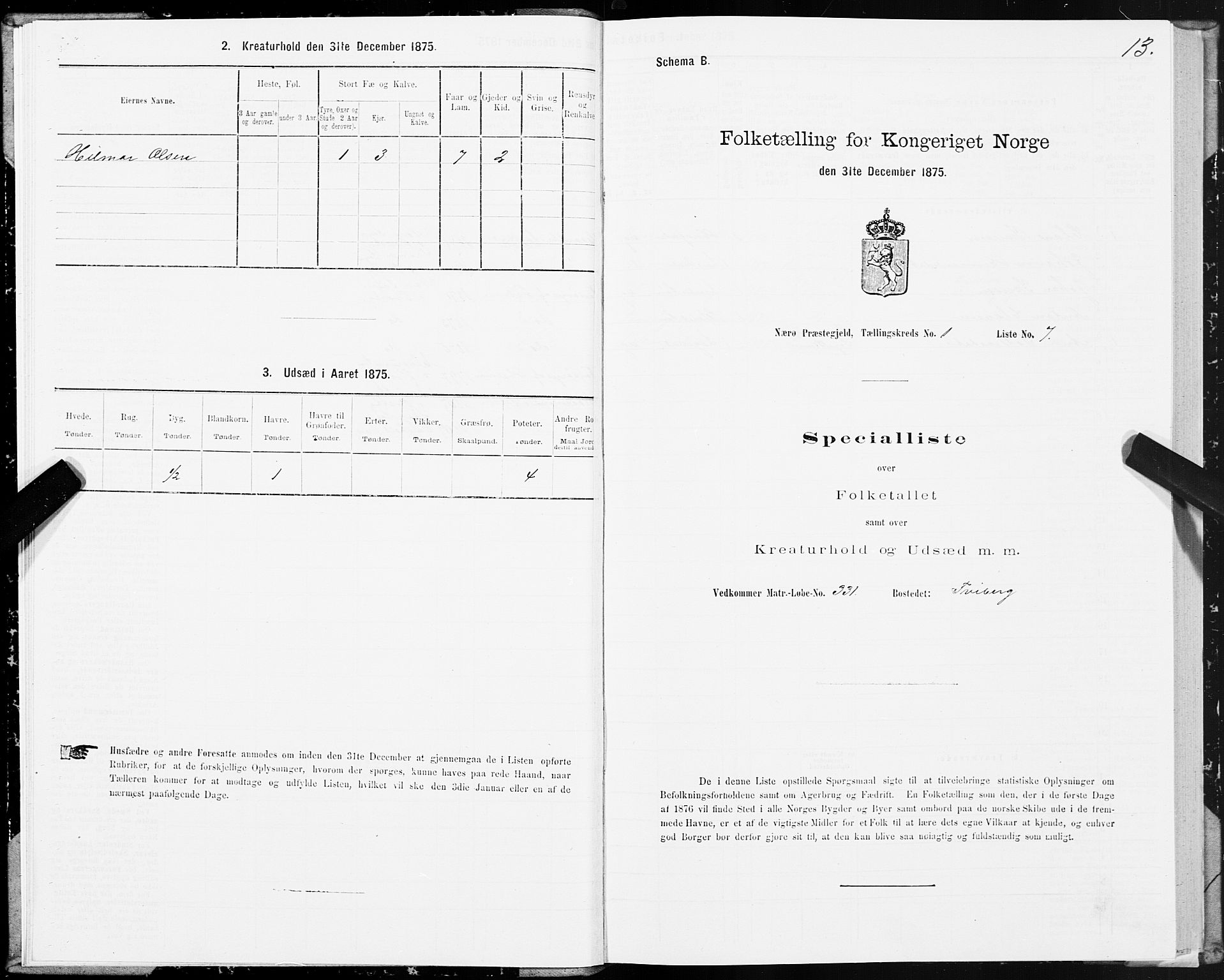 SAT, 1875 census for 1751P Nærøy, 1875, p. 1013