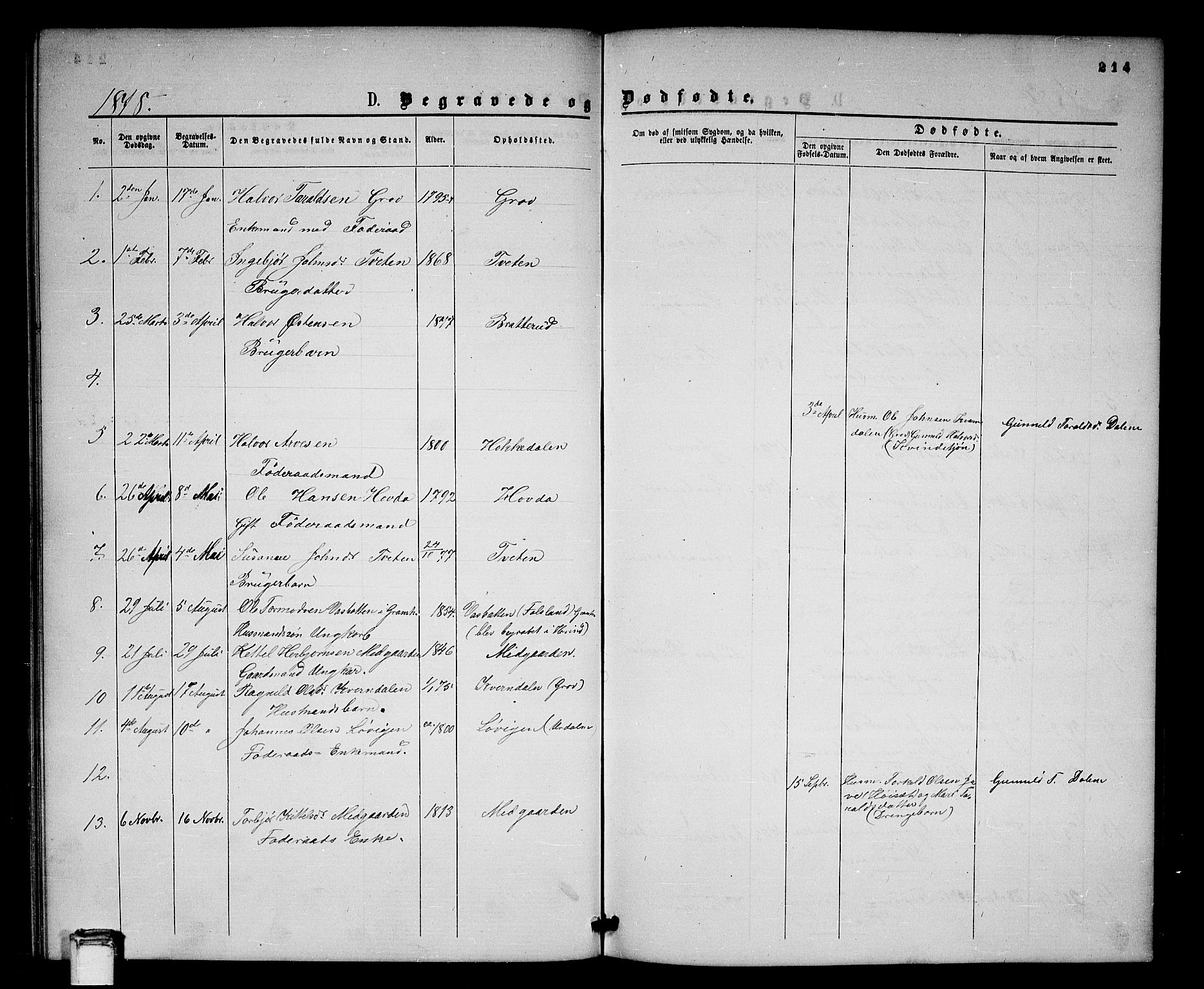 Gransherad kirkebøker, AV/SAKO-A-267/G/Gb/L0002: Parish register (copy) no. II 2, 1860-1886, p. 214