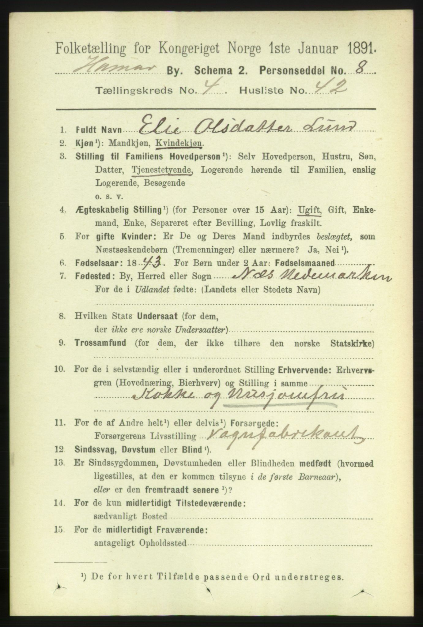 RA, 1891 census for 0401 Hamar, 1891, p. 3600