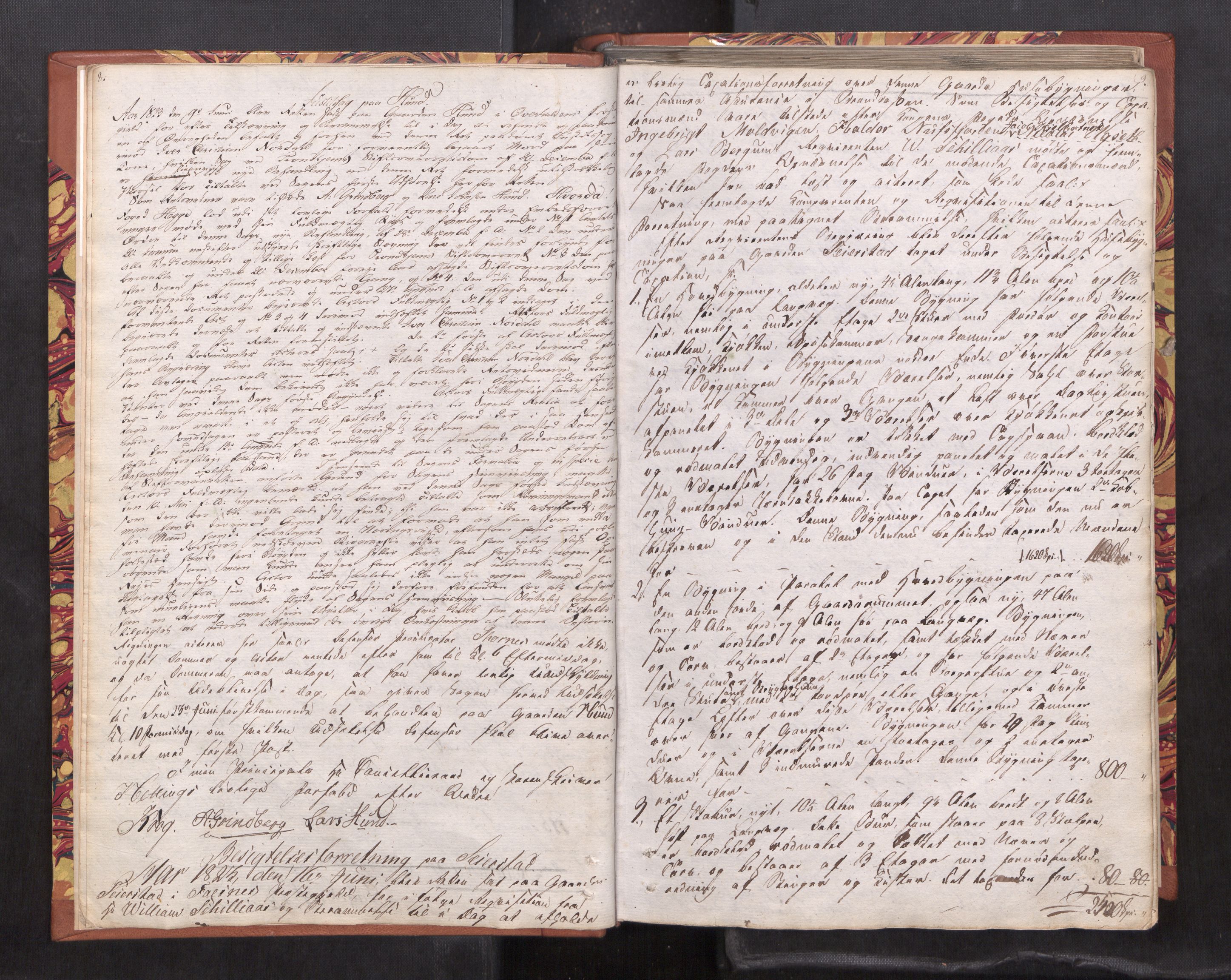 Namdal sorenskriveri, AV/SAT-A-4133/1/1/1B/L0005: Ekstrarettsprotokoll, 1823-1828, p. 8-9