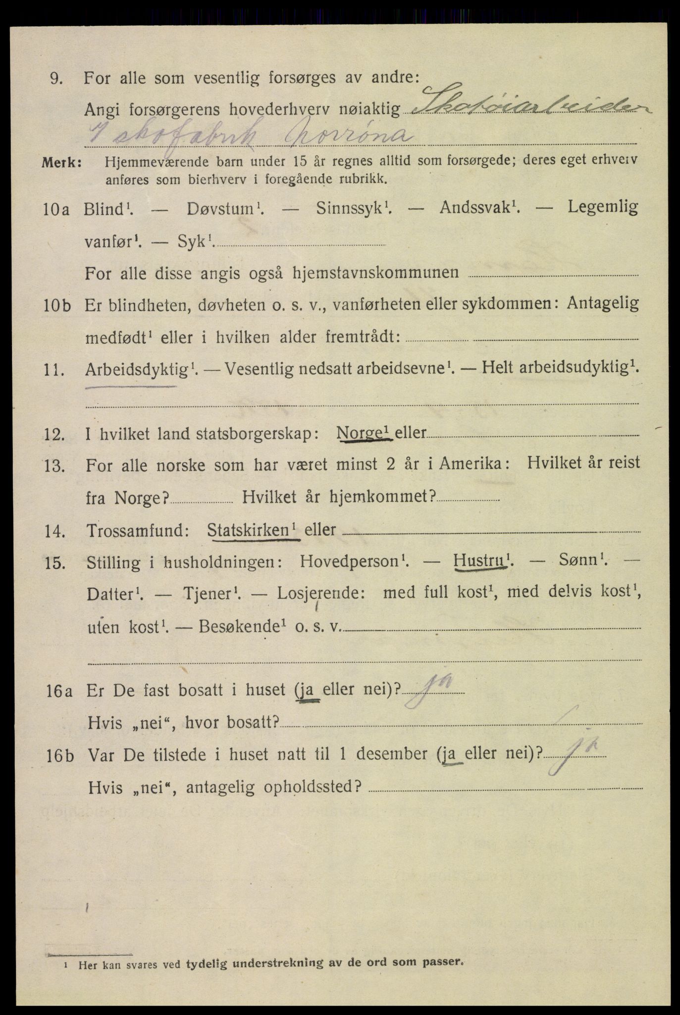 SAH, 1920 census for Hamar, 1920, p. 12004