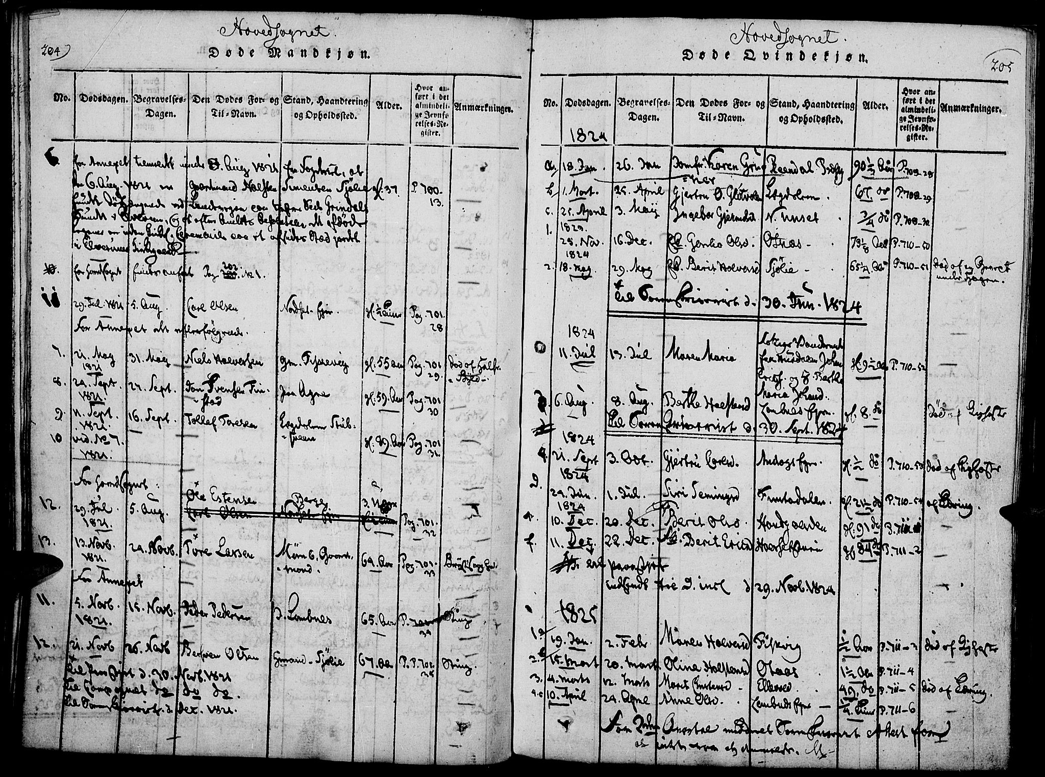 Rendalen prestekontor, AV/SAH-PREST-054/H/Ha/Haa/L0003: Parish register (official) no. 3, 1815-1829, p. 204-205