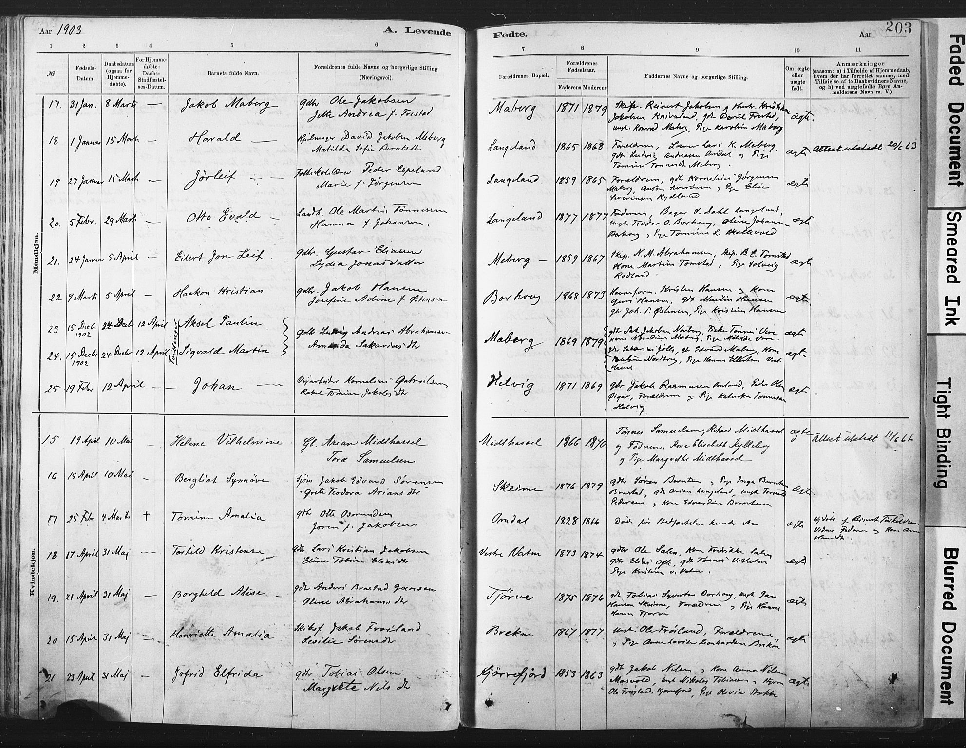 Lista sokneprestkontor, AV/SAK-1111-0027/F/Fa/L0012: Parish register (official) no. A 12, 1879-1903, p. 203