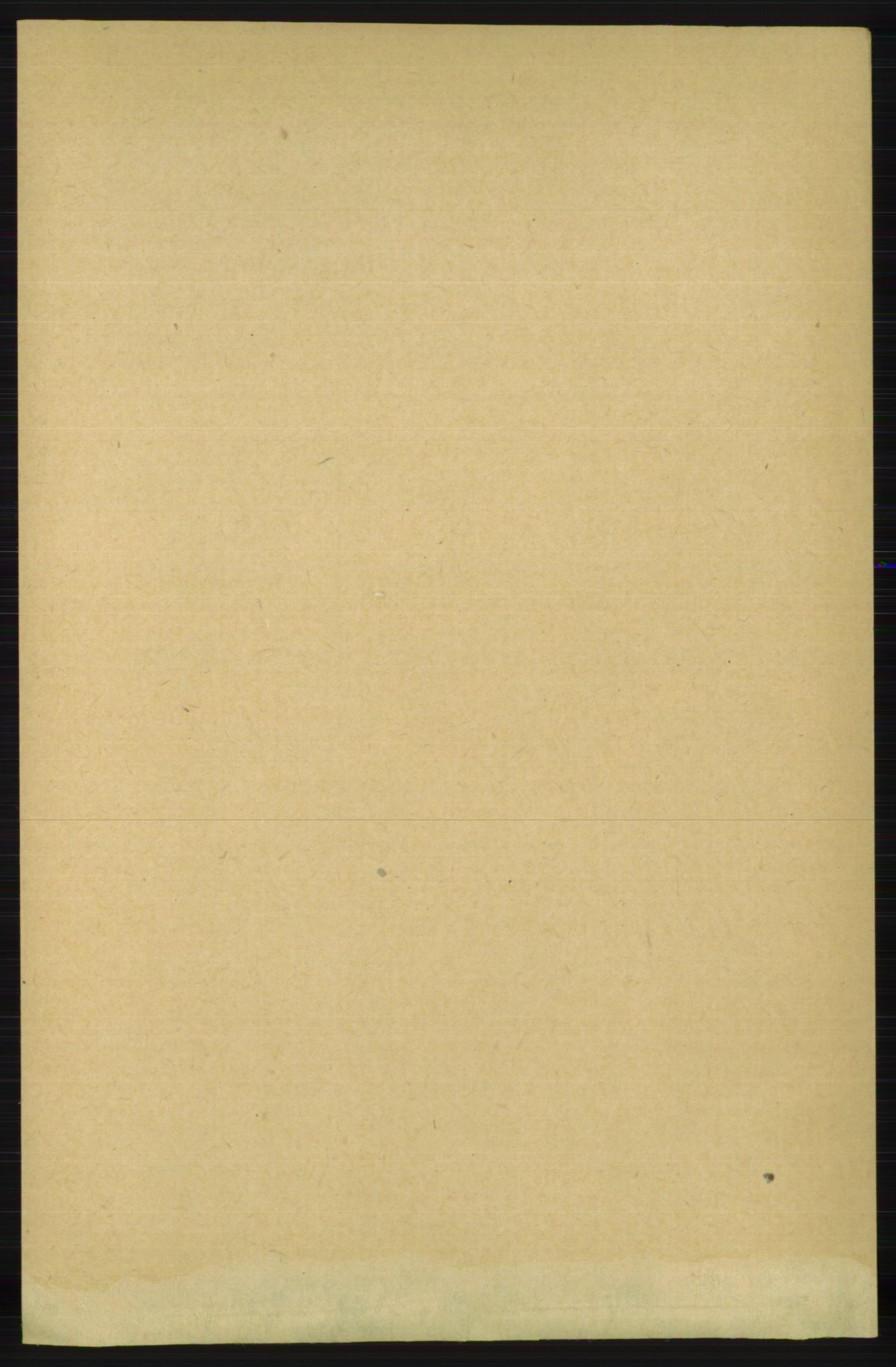 RA, 1891 census for 1150 Skudenes, 1891, p. 3996