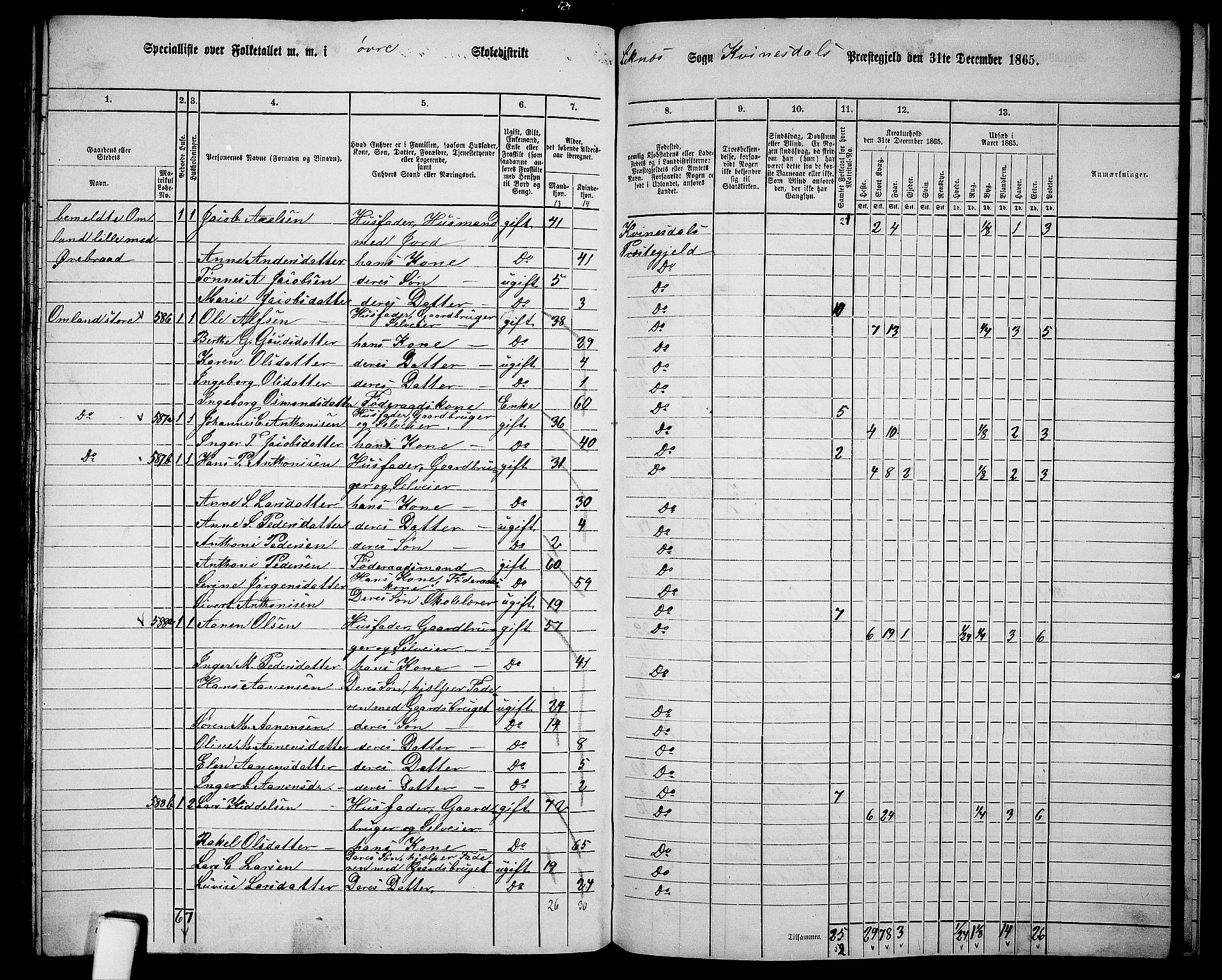 RA, 1865 census for Kvinesdal, 1865, p. 161