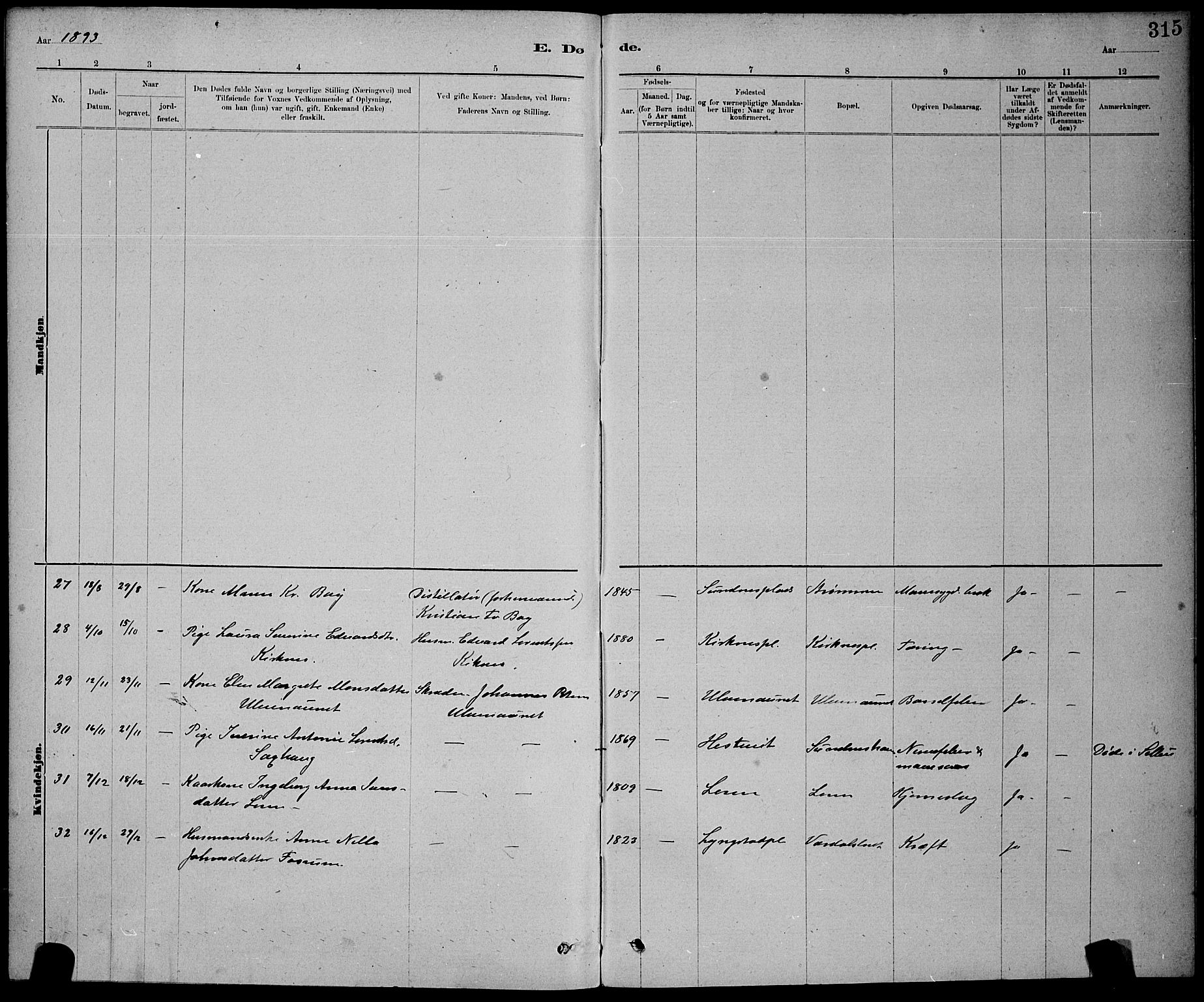 Ministerialprotokoller, klokkerbøker og fødselsregistre - Nord-Trøndelag, SAT/A-1458/730/L0301: Parish register (copy) no. 730C04, 1880-1897, p. 315