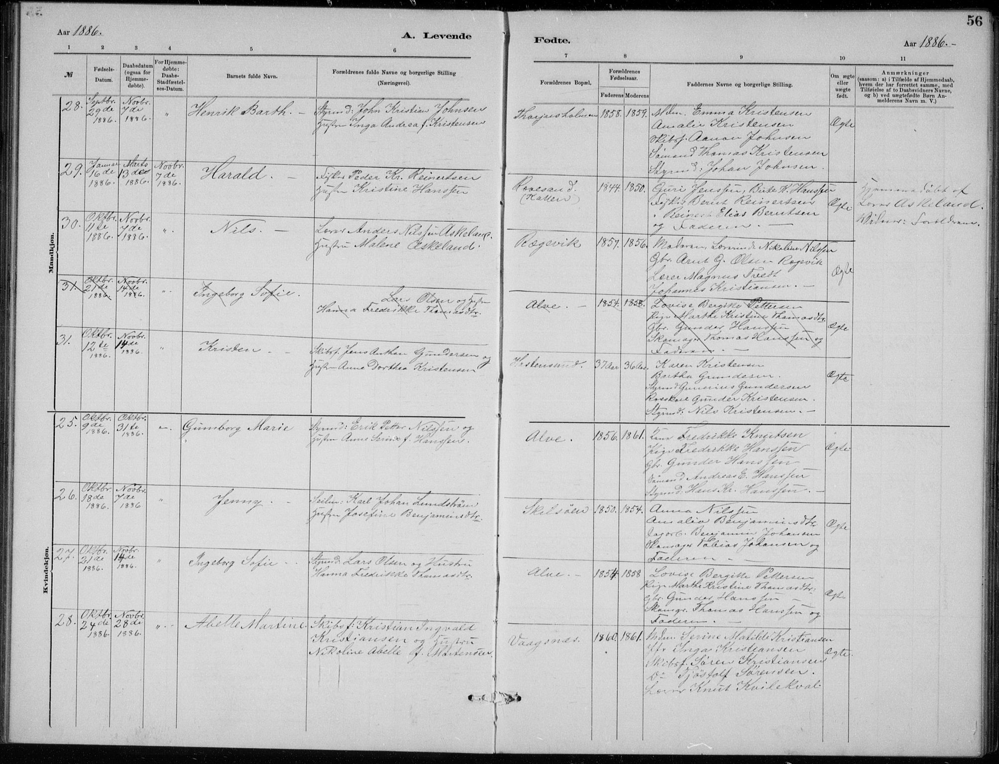 Tromøy sokneprestkontor, SAK/1111-0041/F/Fb/L0005: Parish register (copy) no. B 5, 1877-1891, p. 56