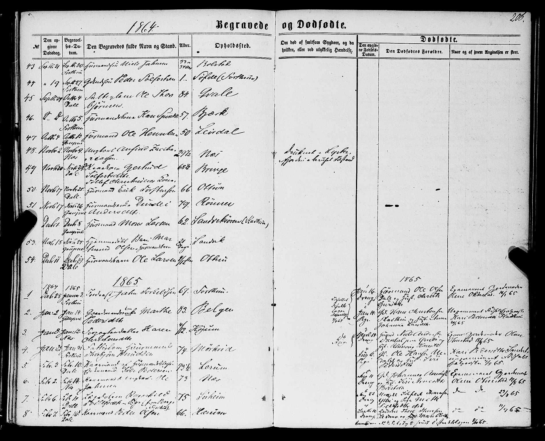 Luster sokneprestembete, SAB/A-81101/H/Haa/Haaa/L0008: Parish register (official) no. A 8, 1860-1870, p. 206