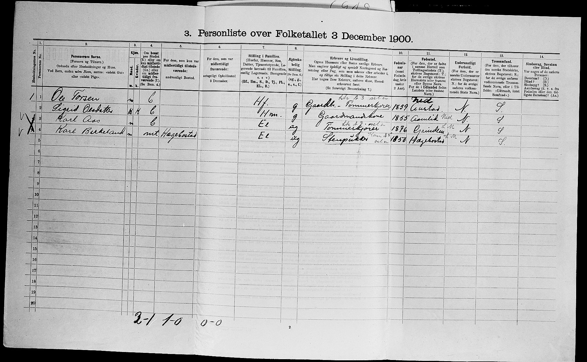 SAK, 1900 census for Mykland, 1900, p. 195