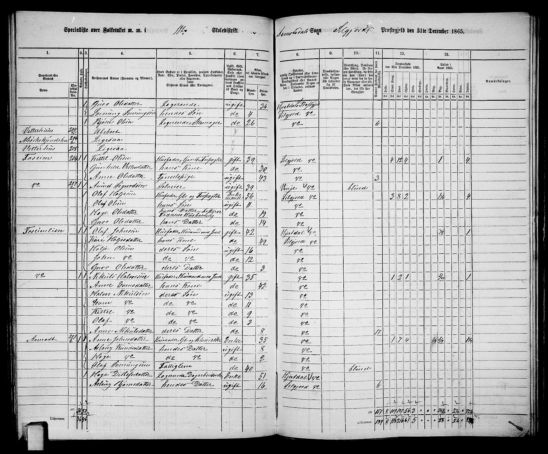 RA, 1865 census for Seljord, 1865, p. 151