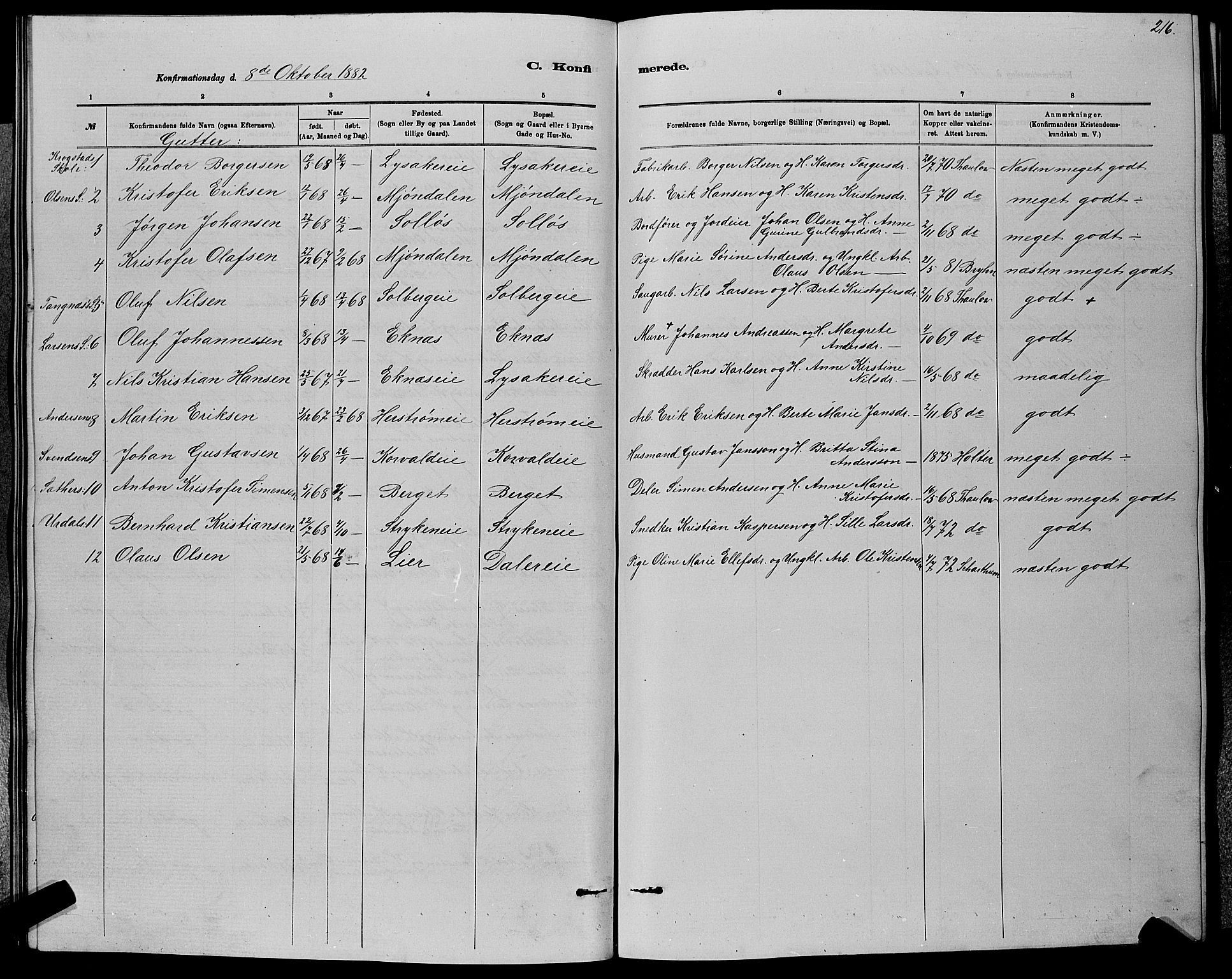 Nedre Eiker kirkebøker, AV/SAKO-A-612/G/Ga/L0002: Parish register (copy) no. 2, 1880-1896, p. 216