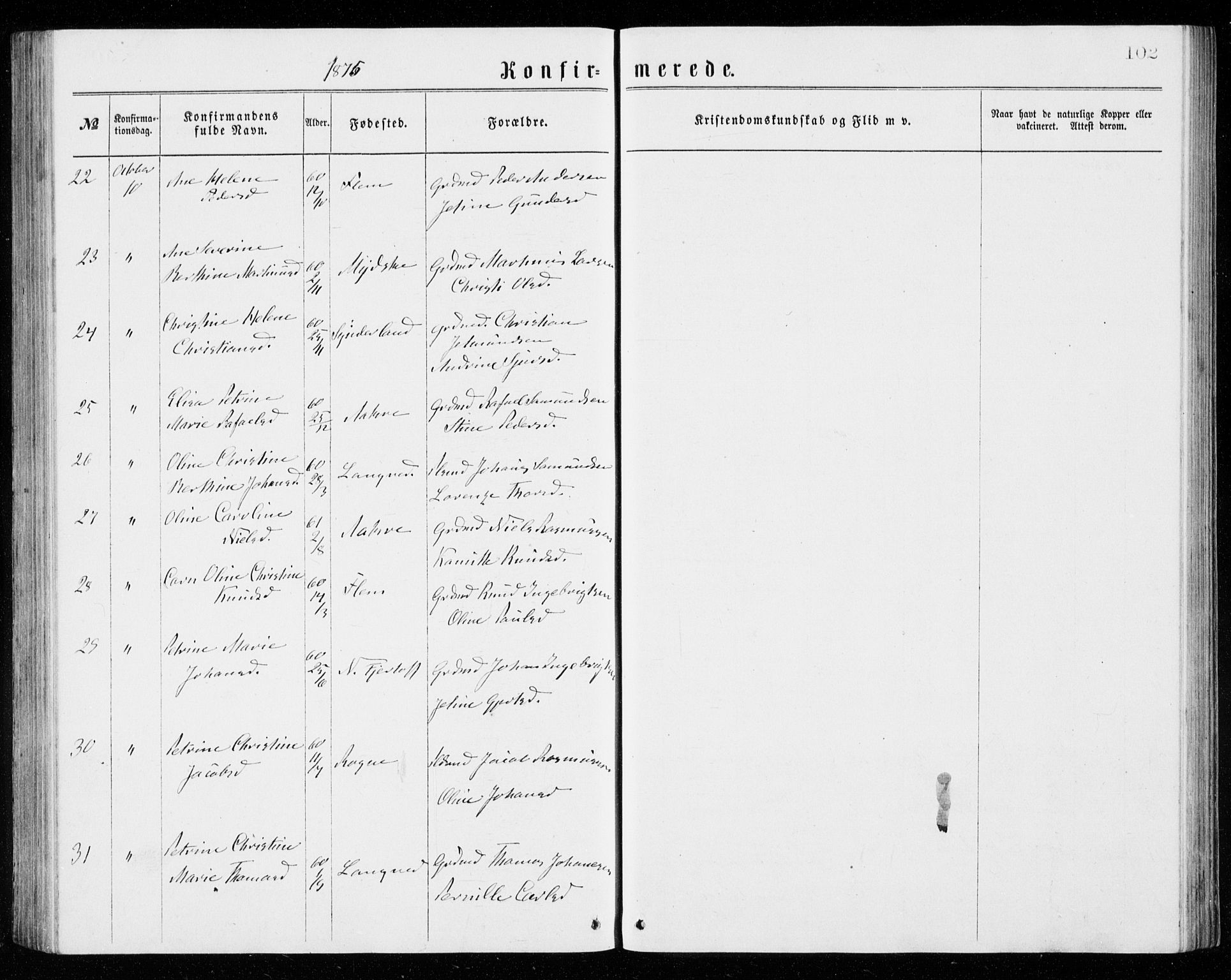 Ministerialprotokoller, klokkerbøker og fødselsregistre - Møre og Romsdal, AV/SAT-A-1454/536/L0509: Parish register (copy) no. 536C04, 1871-1881, p. 102