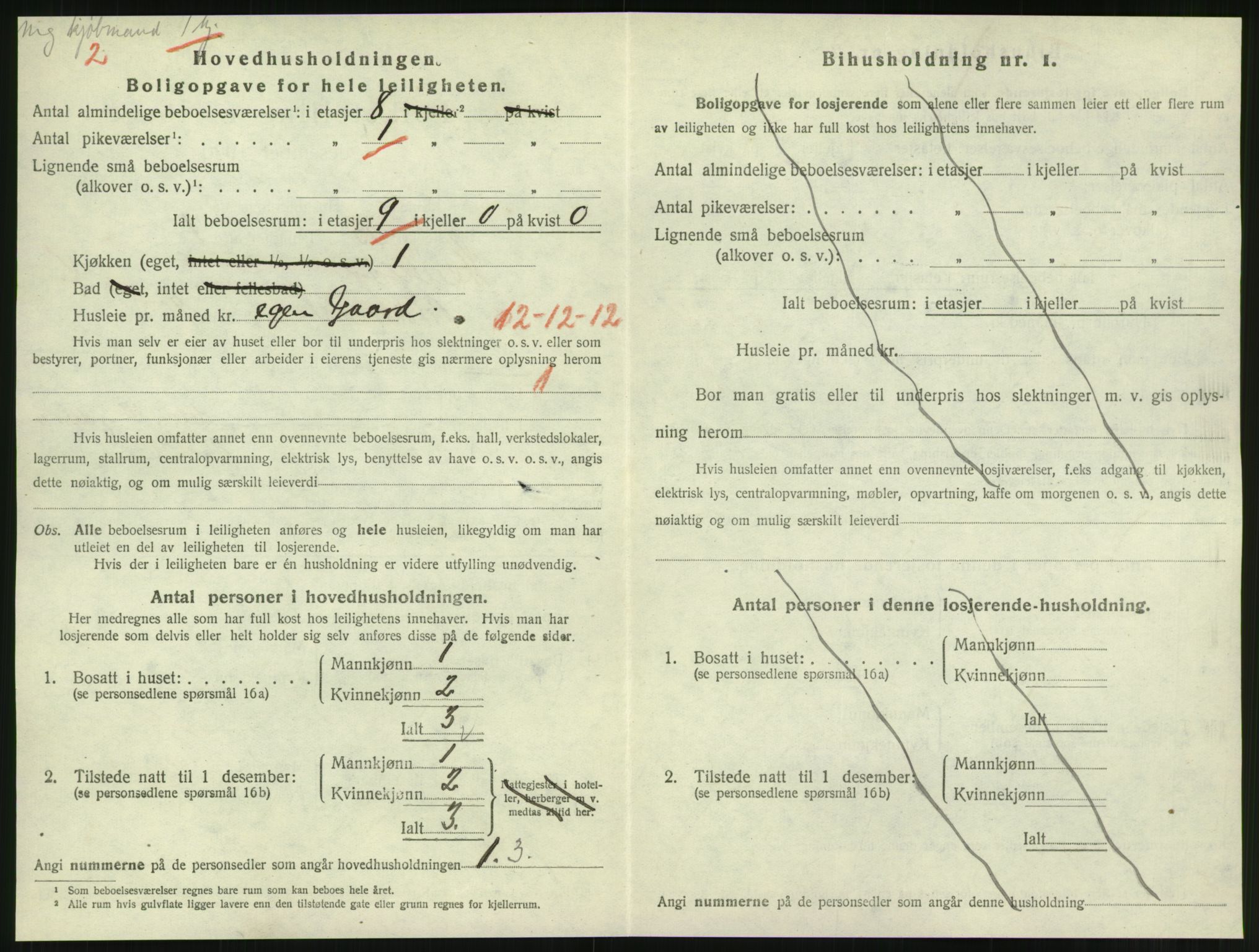 SAT, 1920 census for Steinkjer, 1920, p. 2345