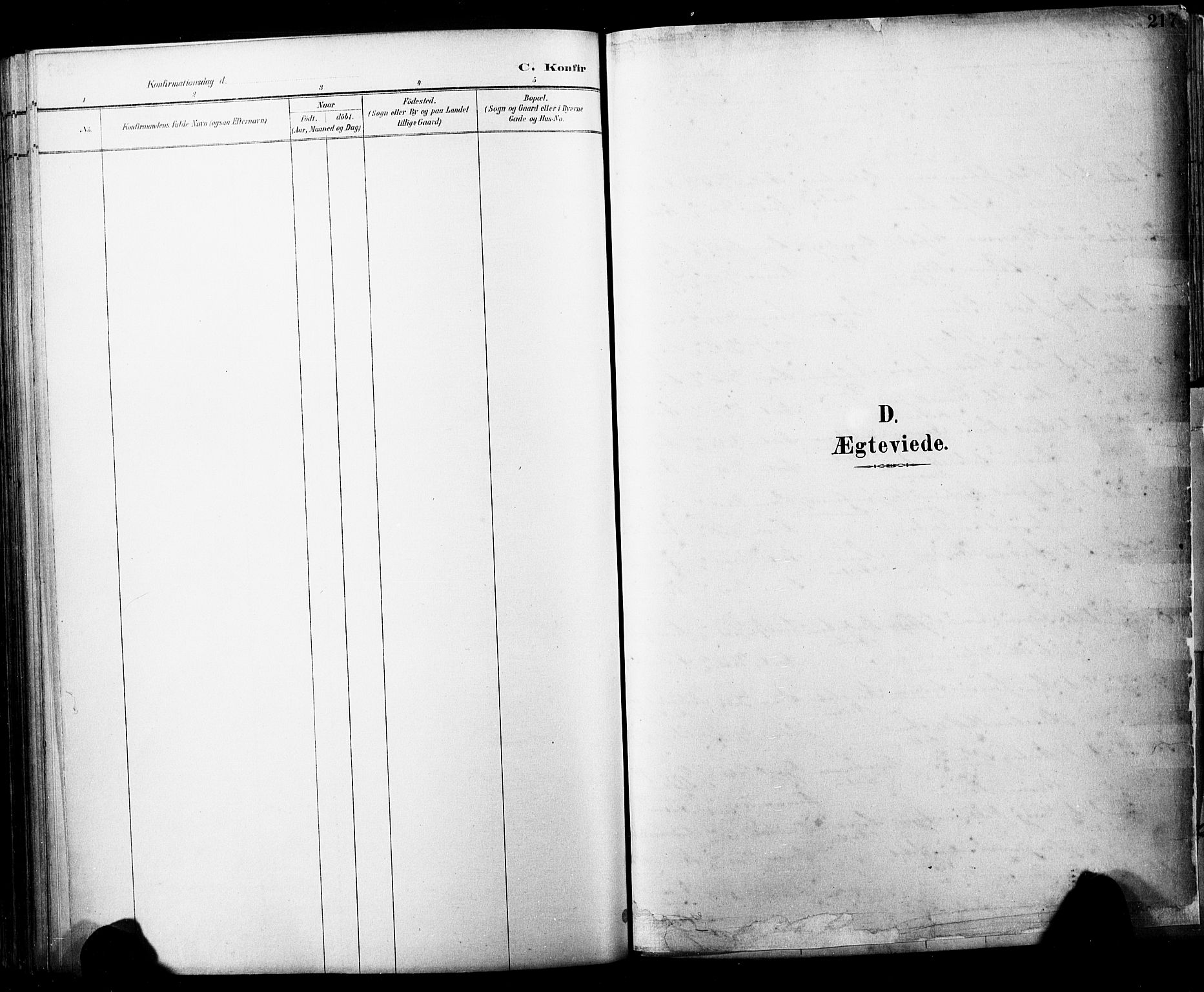 Horten kirkebøker, AV/SAKO-A-348/F/Fa/L0004: Parish register (official) no. 4, 1888-1895, p. 217
