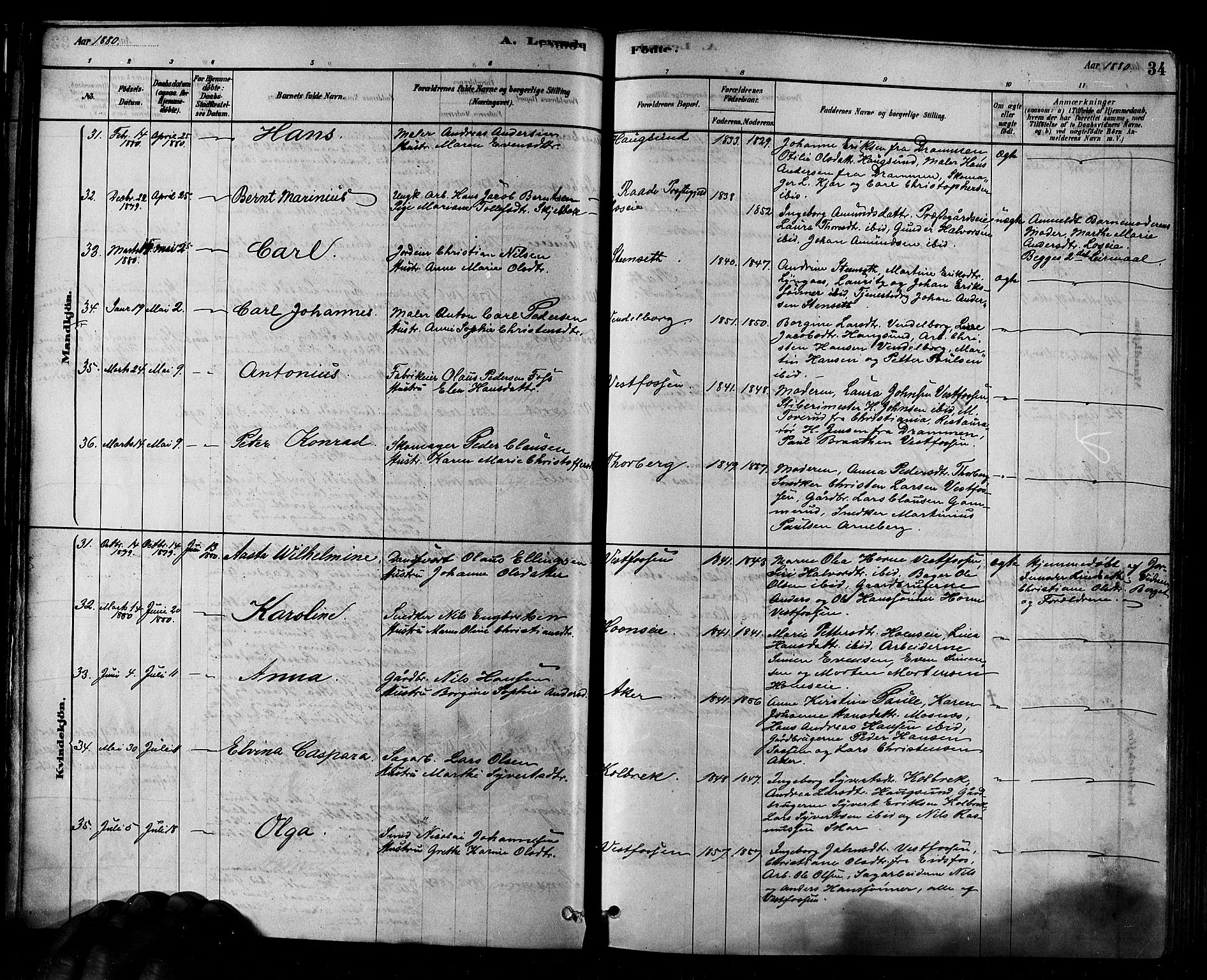 Eiker kirkebøker, AV/SAKO-A-4/F/Fb/L0001: Parish register (official) no. II 1, 1878-1888, p. 34