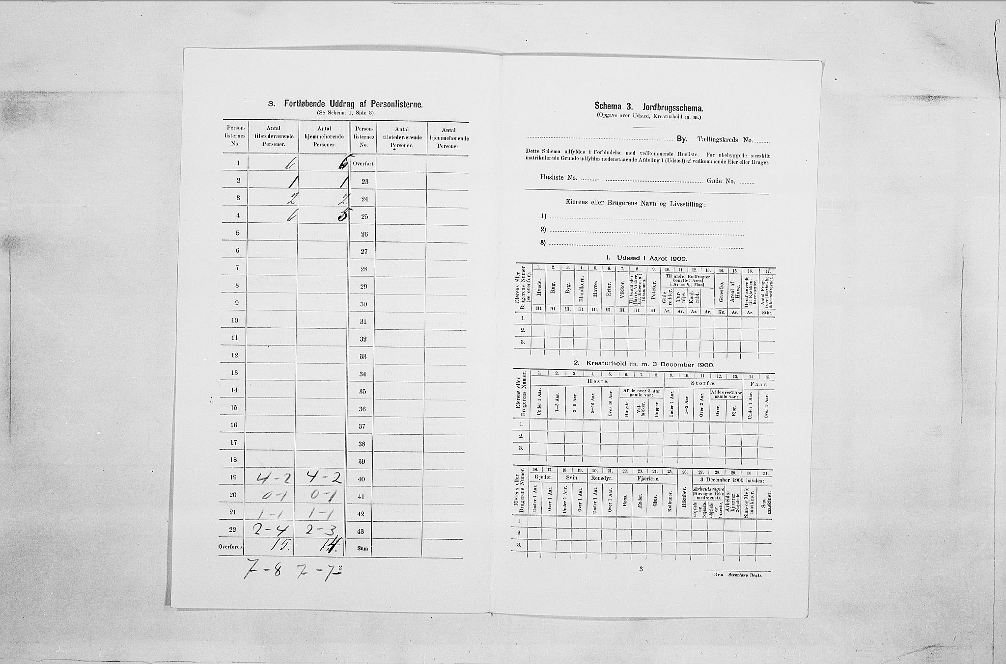 SAO, 1900 census for Fredrikshald, 1900