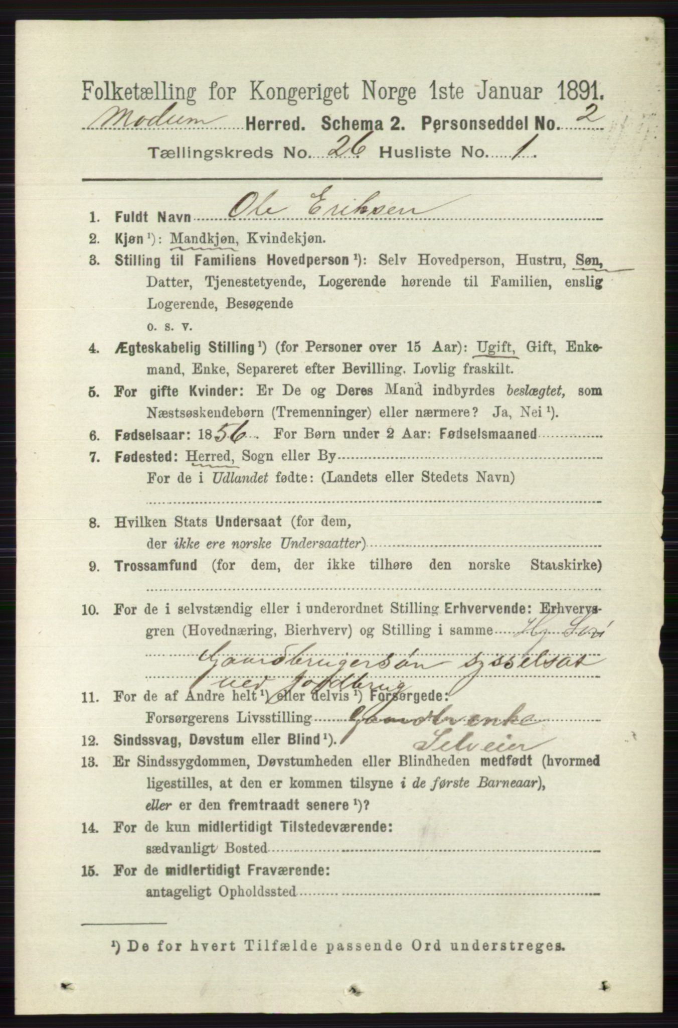 RA, 1891 census for 0623 Modum, 1891, p. 9395