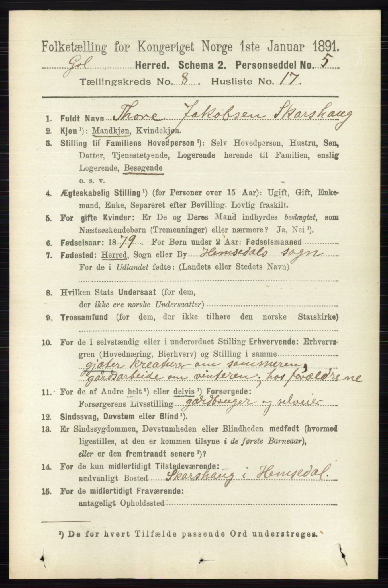 RA, 1891 census for 0617 Gol og Hemsedal, 1891, p. 3124