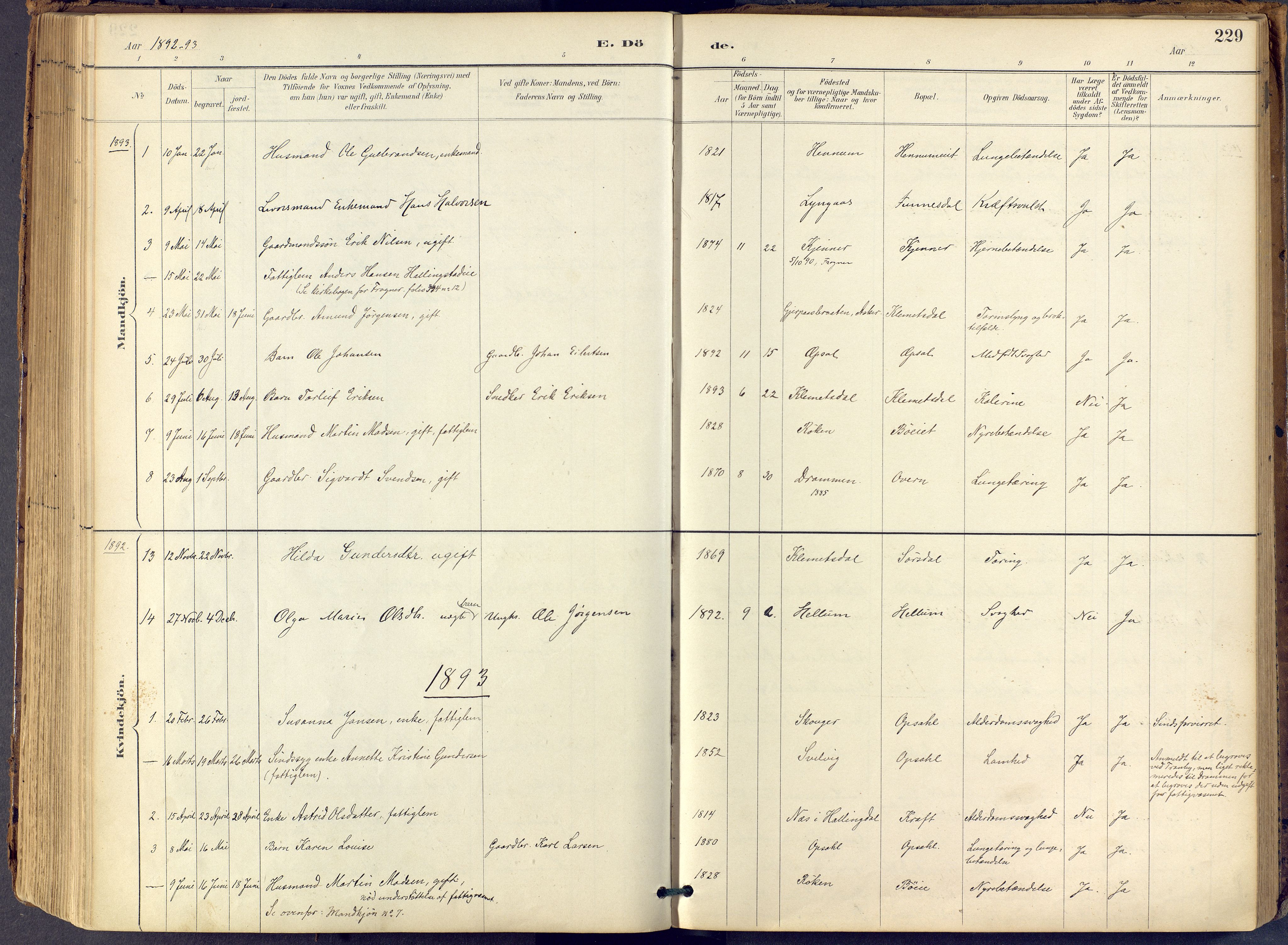 Lier kirkebøker, AV/SAKO-A-230/F/Fb/L0001: Parish register (official) no. II 1, 1883-1910, p. 229