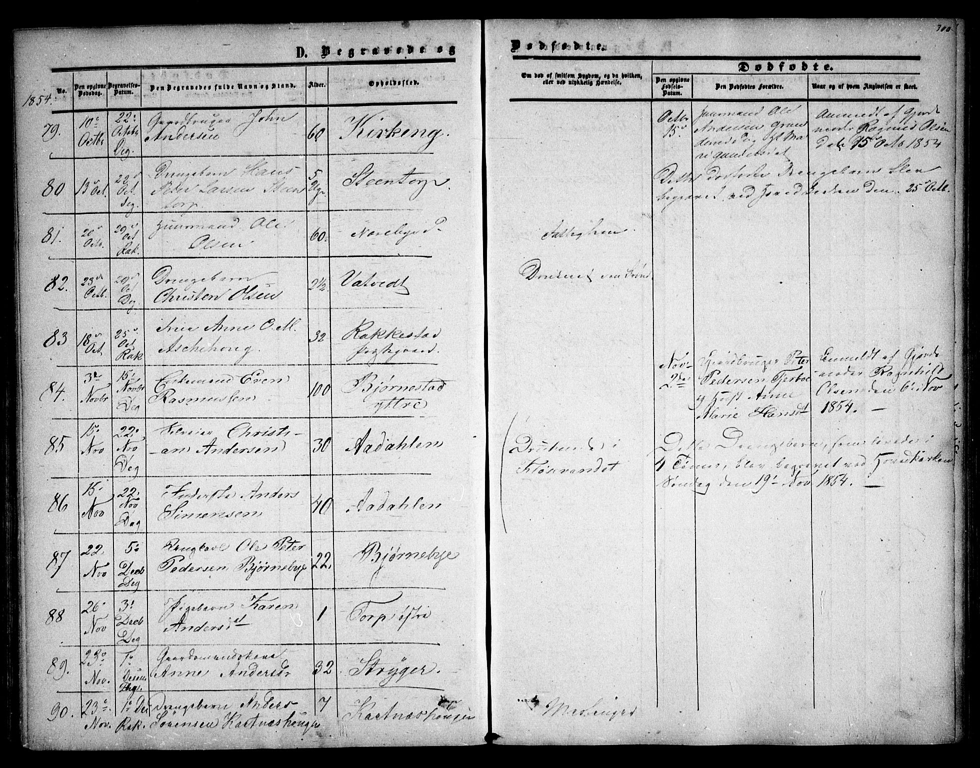 Rakkestad prestekontor Kirkebøker, AV/SAO-A-2008/F/Fa/L0009: Parish register (official) no. I 9, 1850-1856, p. 300