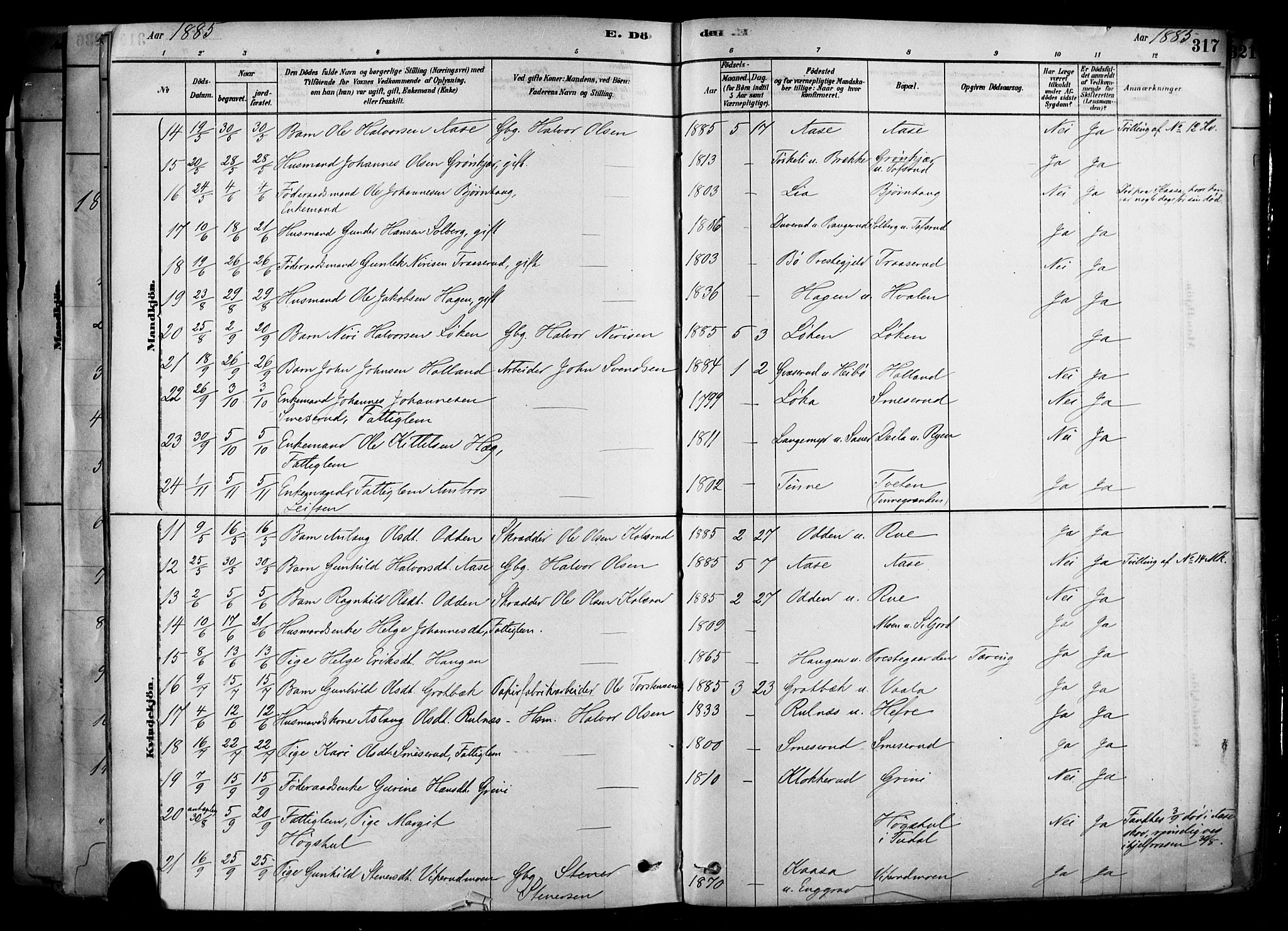 Heddal kirkebøker, AV/SAKO-A-268/F/Fa/L0008: Parish register (official) no. I 8, 1878-1903, p. 317