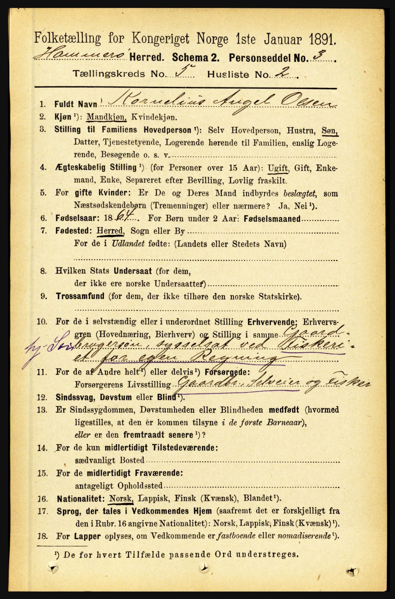 RA, 1891 census for 1849 Hamarøy, 1891, p. 2492