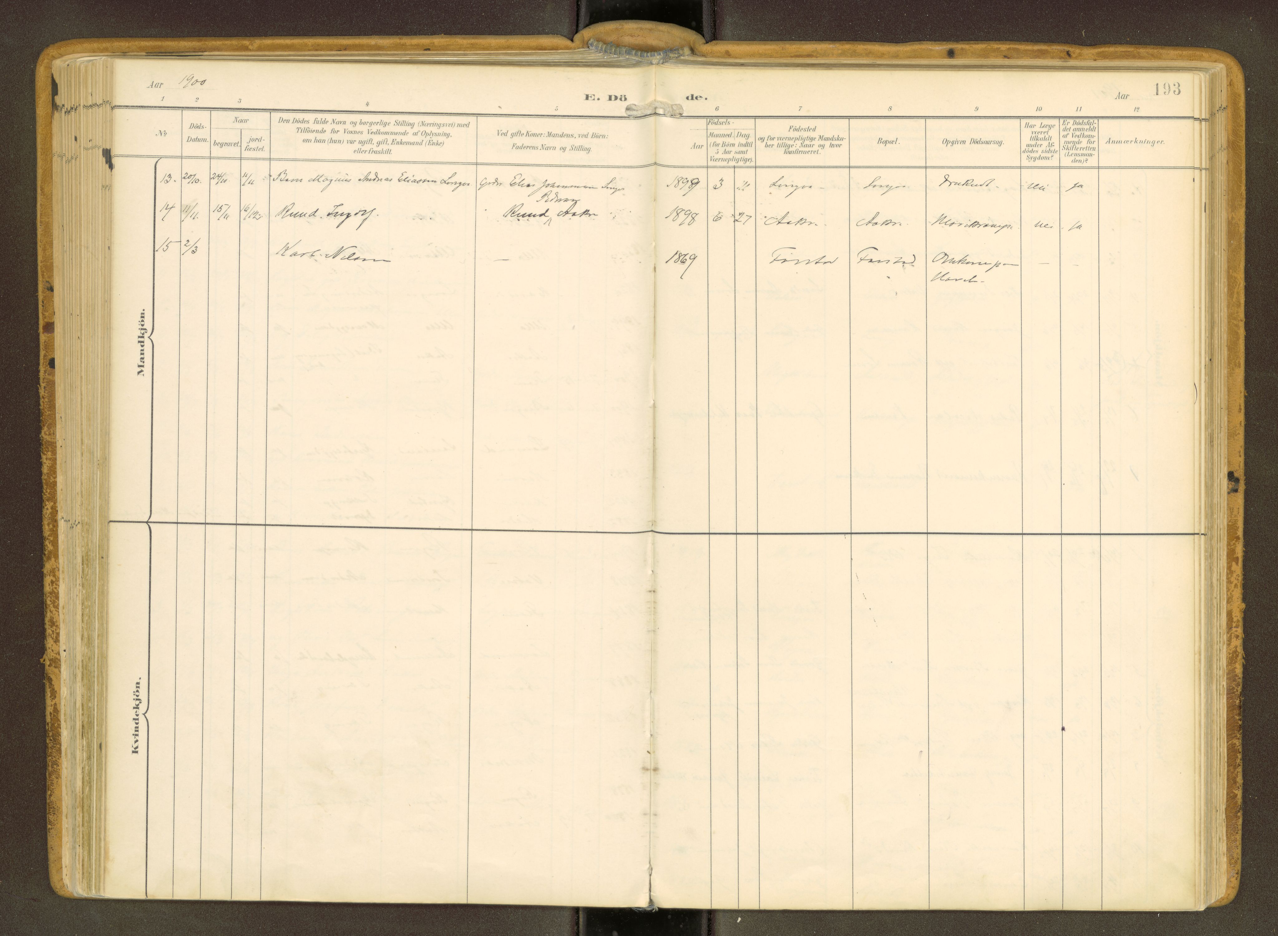 Ministerialprotokoller, klokkerbøker og fødselsregistre - Møre og Romsdal, SAT/A-1454/536/L0517: Parish register (official) no. 536A--, 1897-1917, p. 193