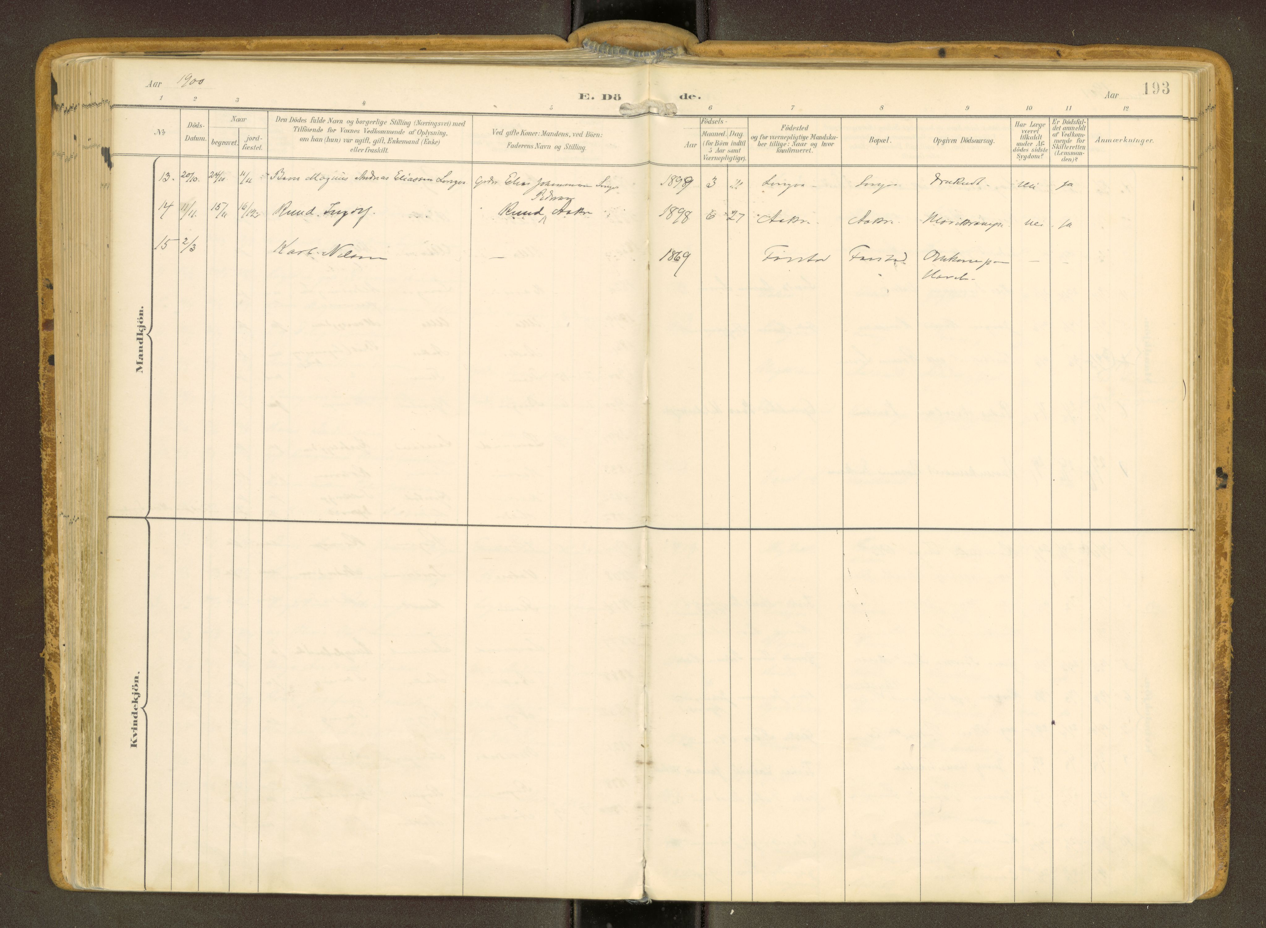 Ministerialprotokoller, klokkerbøker og fødselsregistre - Møre og Romsdal, AV/SAT-A-1454/536/L0517: Parish register (official) no. 536A--, 1897-1917, p. 193