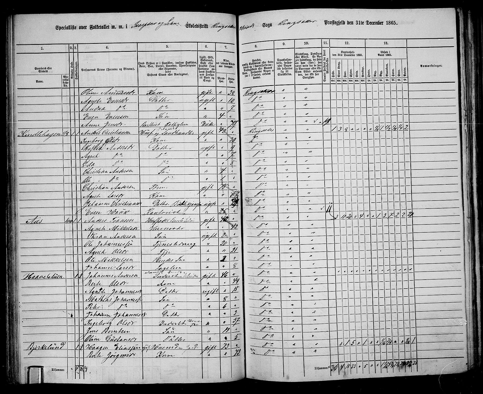 RA, 1865 census for Ringsaker, 1865, p. 120