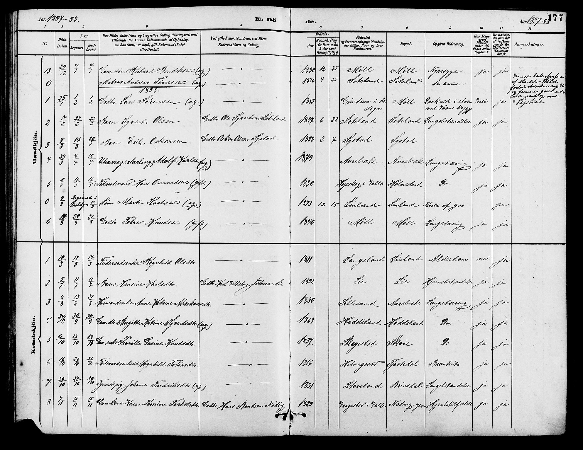 Holum sokneprestkontor, SAK/1111-0022/F/Fb/Fba/L0005: Parish register (copy) no. B 5, 1891-1909, p. 177