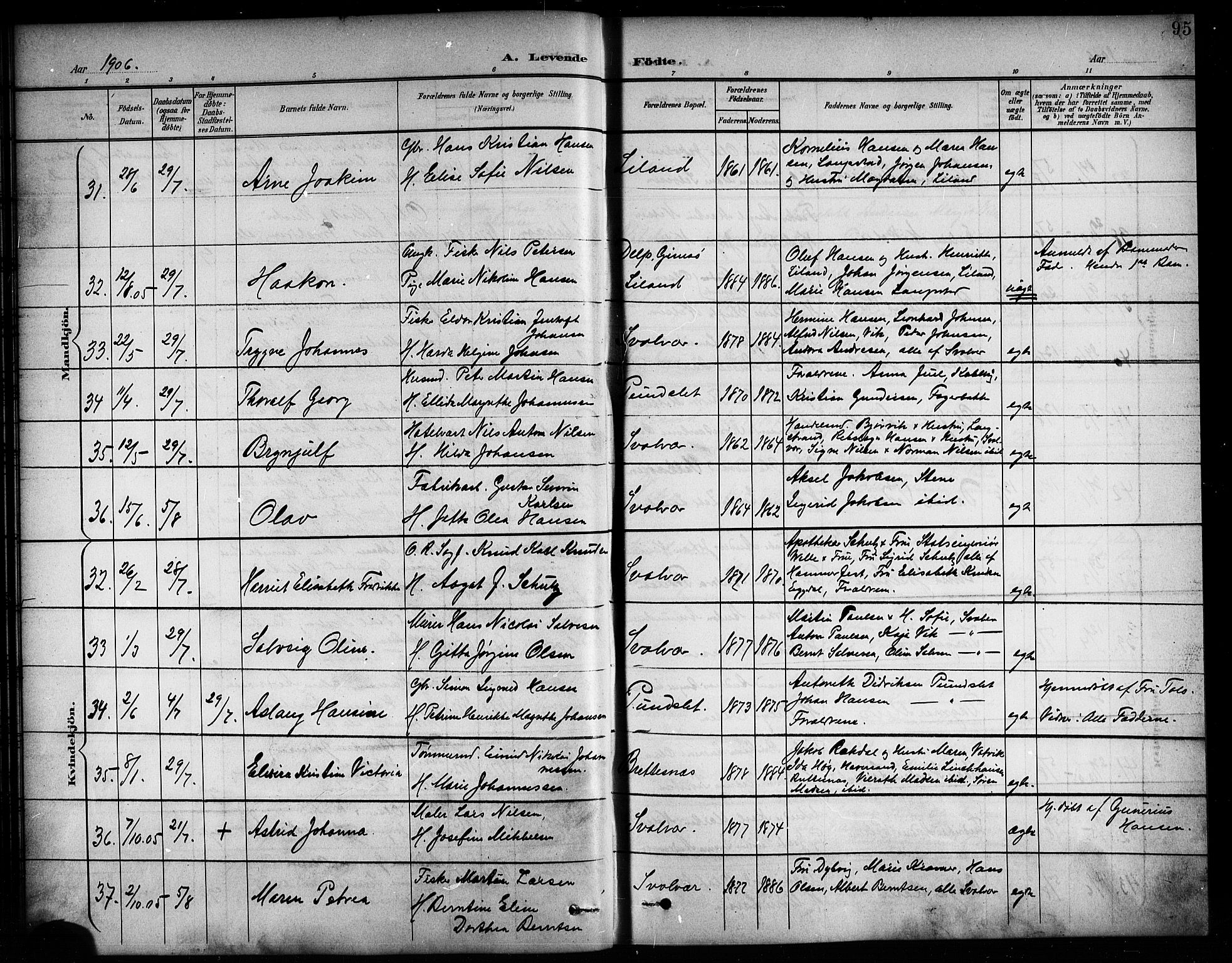 Ministerialprotokoller, klokkerbøker og fødselsregistre - Nordland, AV/SAT-A-1459/874/L1078: Parish register (copy) no. 874C07, 1900-1907, p. 95