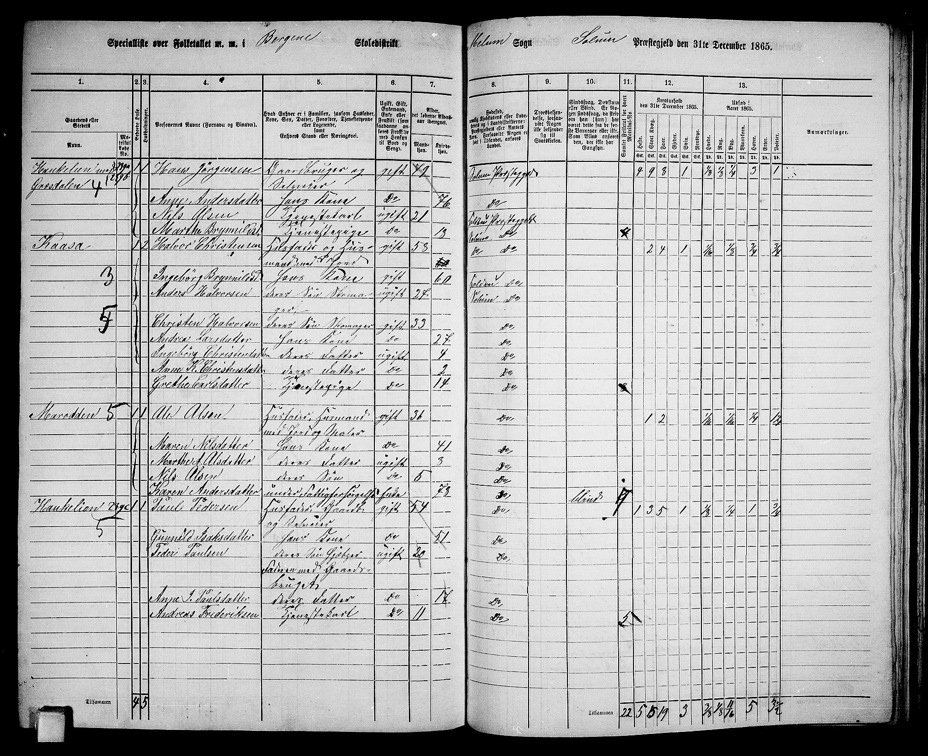 RA, 1865 census for Solum, 1865, p. 189