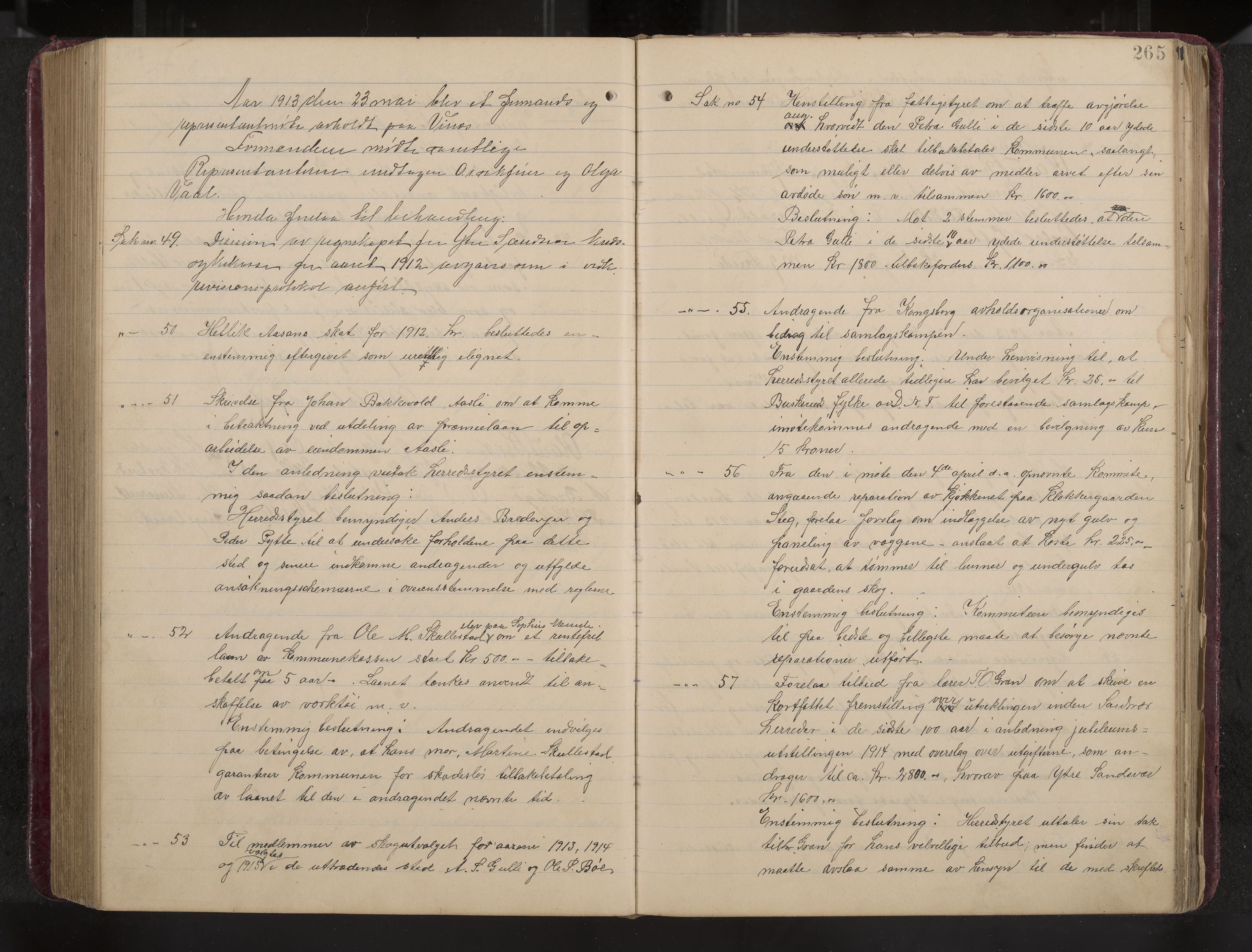 Ytre Sandsvær formannskap og sentraladministrasjon, IKAK/0629021/A/Aa/L0001: Møtebok med register, 1902-1919, p. 265