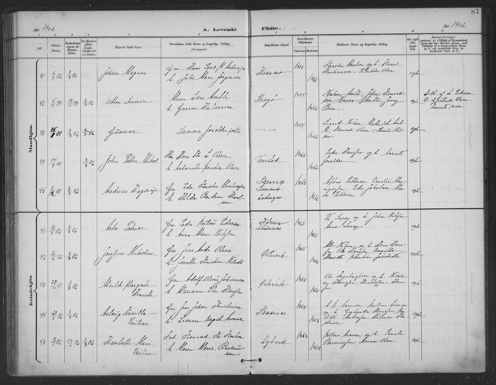 Ministerialprotokoller, klokkerbøker og fødselsregistre - Nordland, AV/SAT-A-1459/863/L0899: Parish register (official) no. 863A11, 1897-1906, p. 87