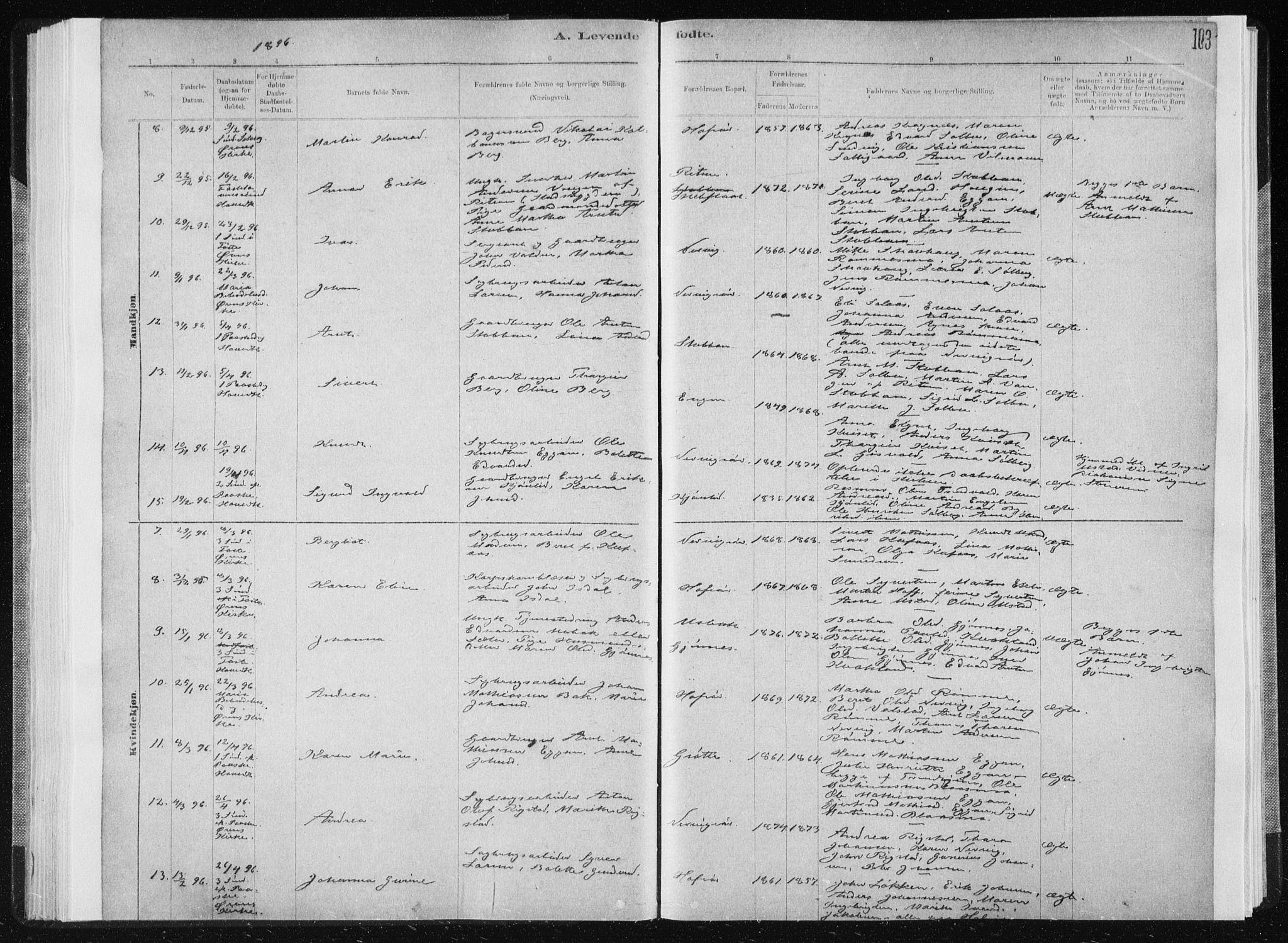 Ministerialprotokoller, klokkerbøker og fødselsregistre - Sør-Trøndelag, SAT/A-1456/668/L0818: Parish register (copy) no. 668C07, 1885-1898, p. 103
