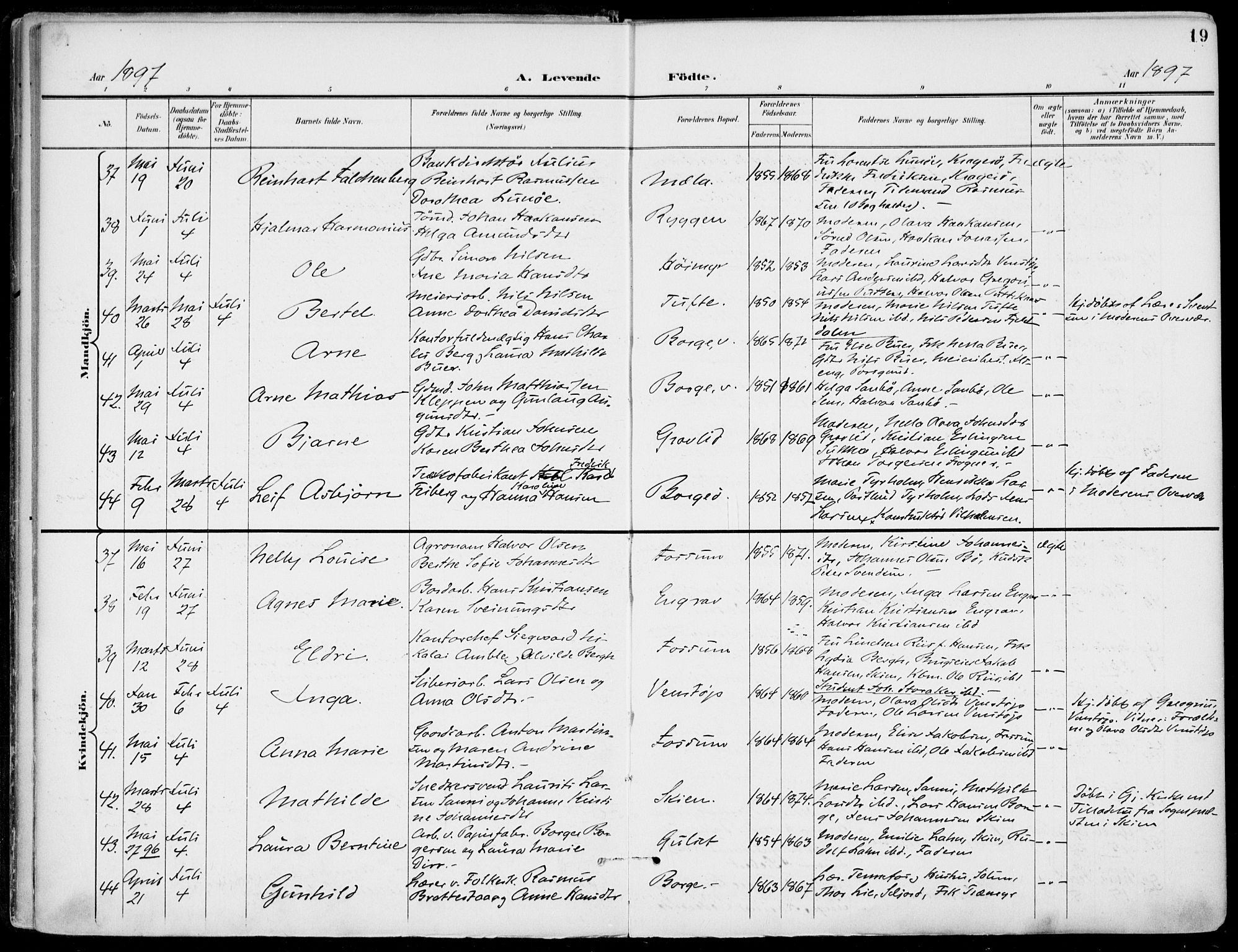 Gjerpen kirkebøker, SAKO/A-265/F/Fa/L0011: Parish register (official) no. I 11, 1896-1904, p. 19