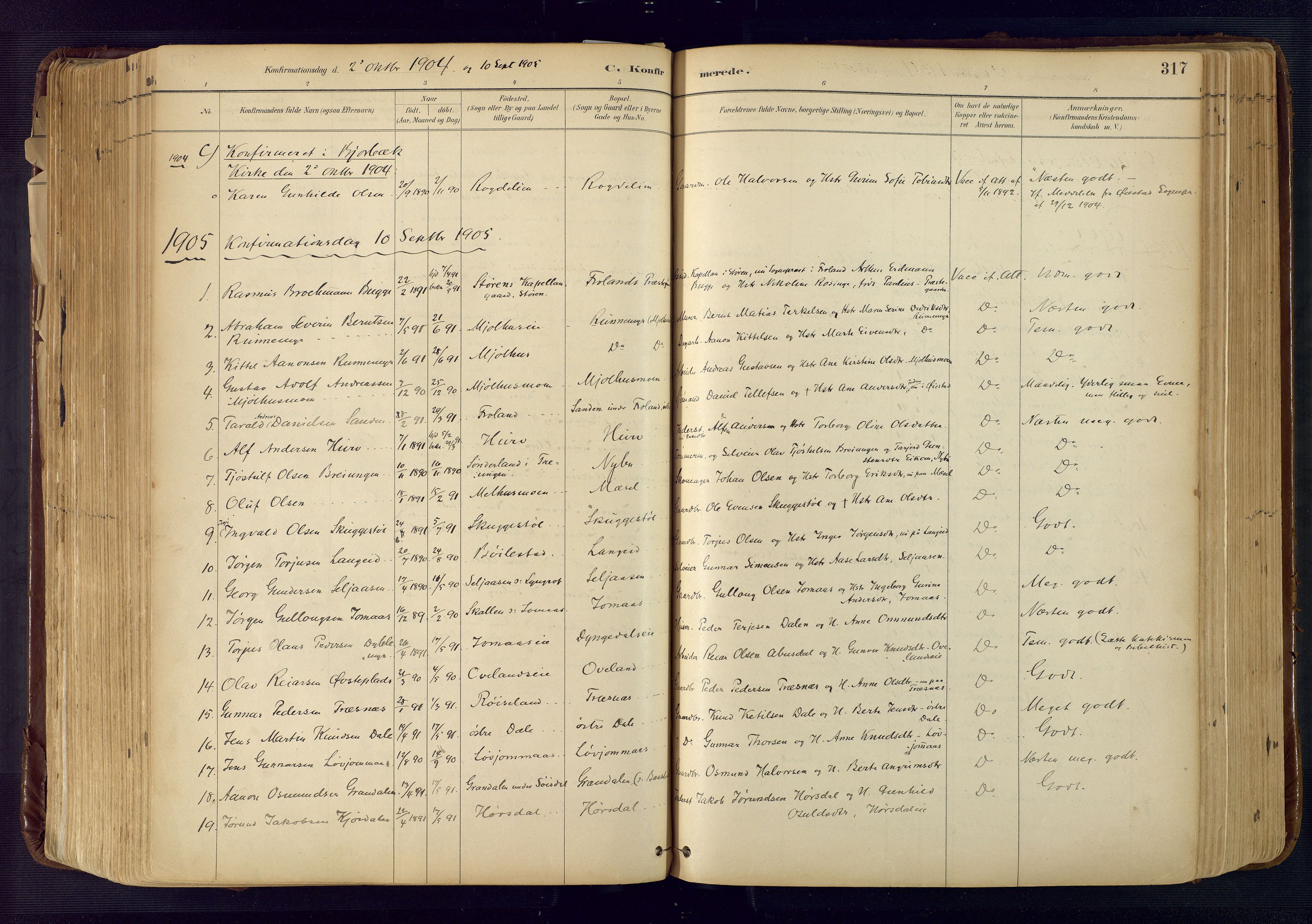 Froland sokneprestkontor, SAK/1111-0013/F/Fa/L0005: Parish register (official) no. A 5, 1882-1921, p. 317