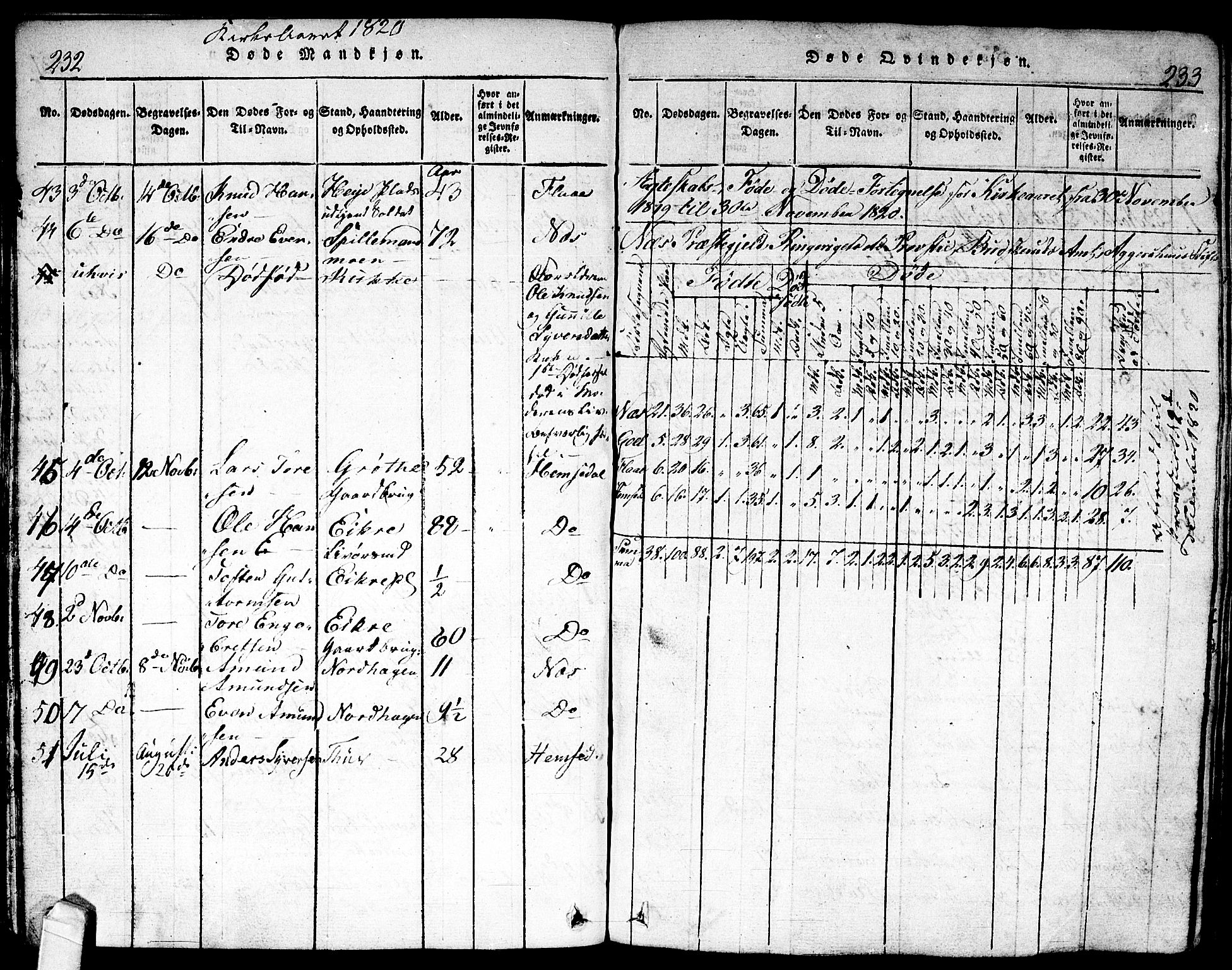 Nes kirkebøker, AV/SAKO-A-236/F/Fa/L0007: Parish register (official) no. 7, 1815-1823, p. 232-233