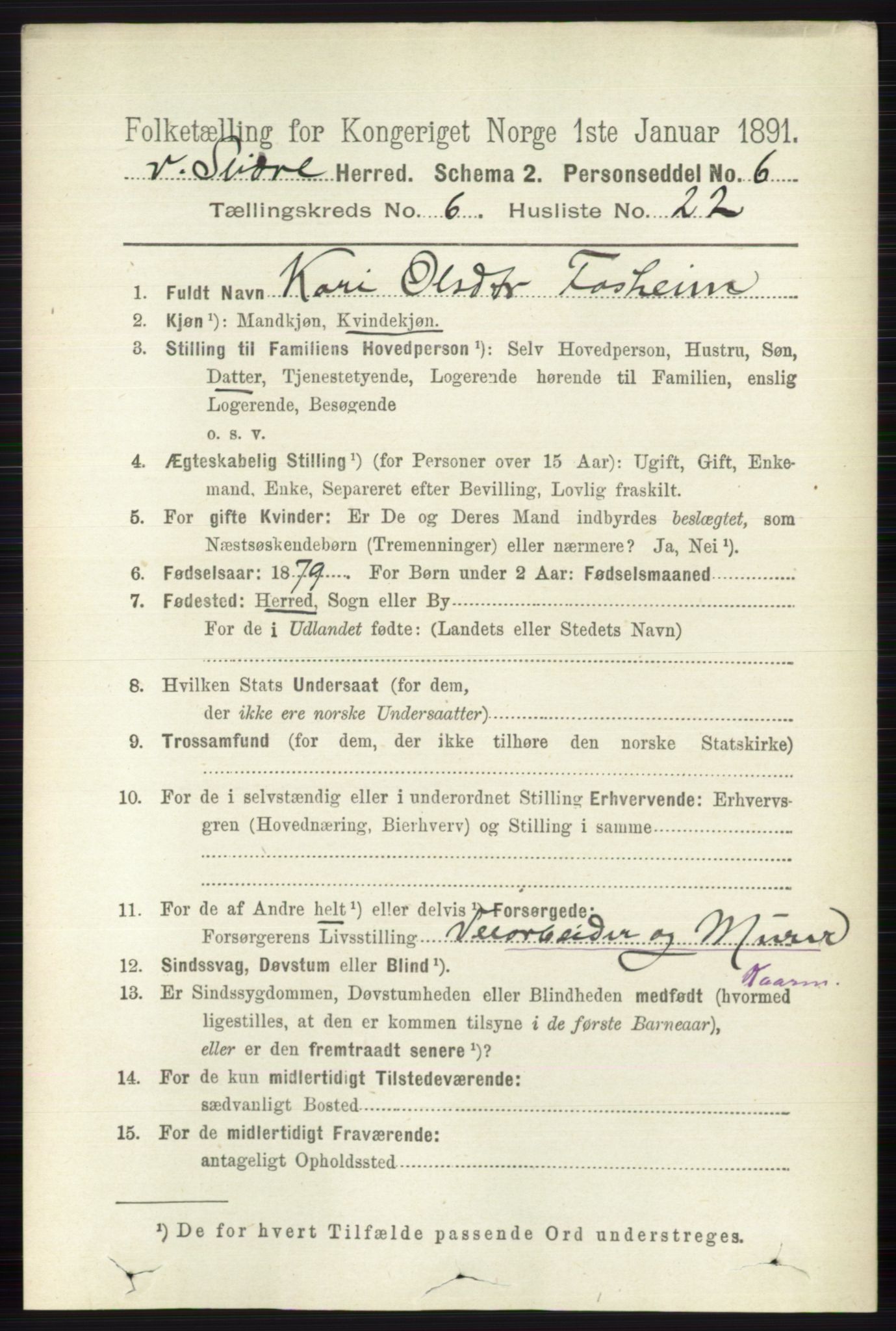 RA, 1891 census for 0543 Vestre Slidre, 1891, p. 2192