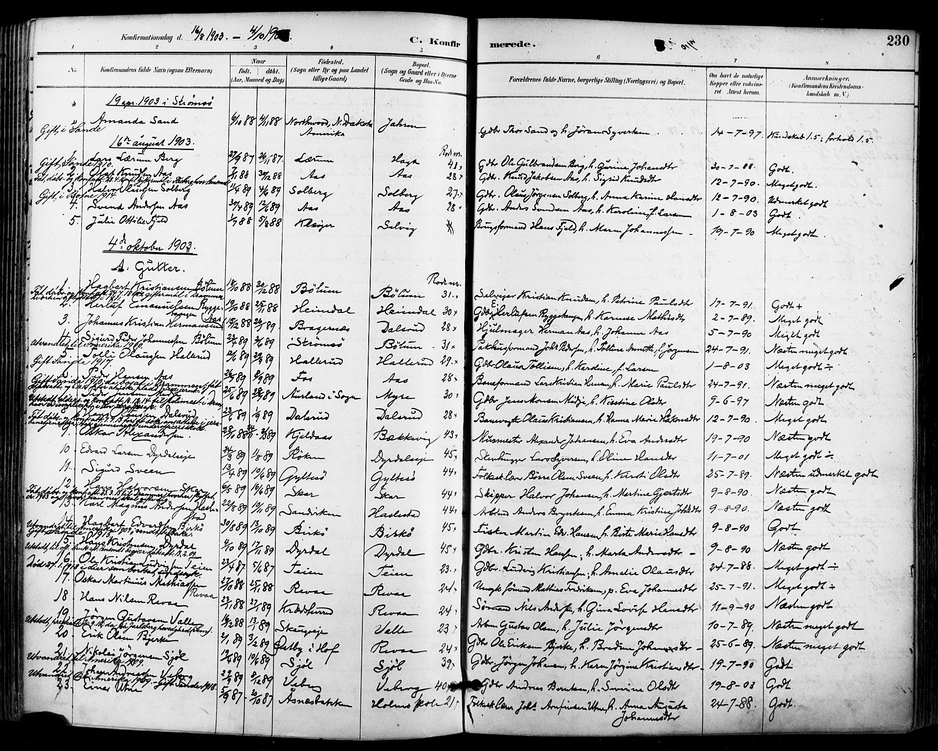 Sande Kirkebøker, AV/SAKO-A-53/F/Fa/L0007: Parish register (official) no. 7, 1888-1903, p. 230