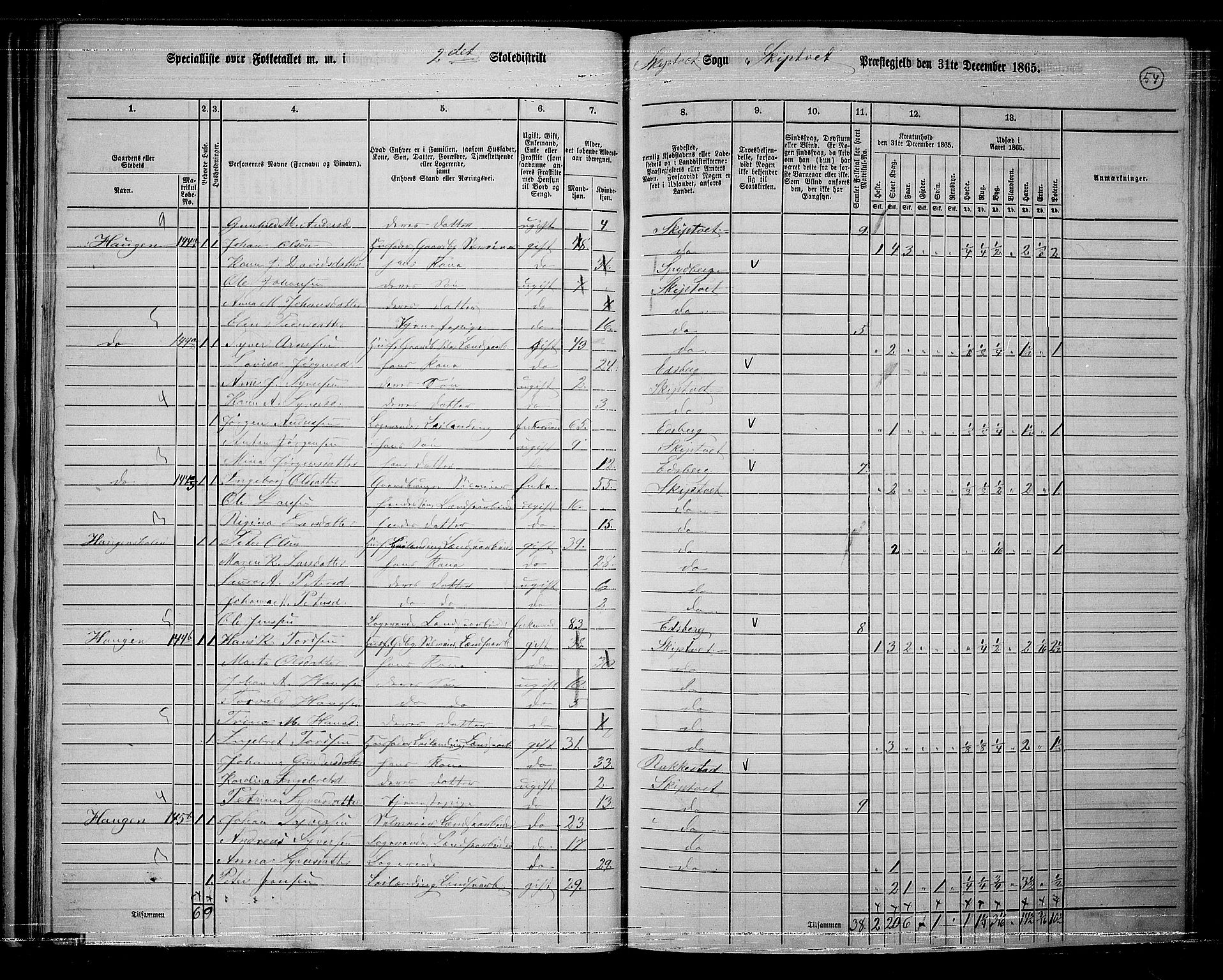 RA, 1865 census for Skiptvet, 1865, p. 47