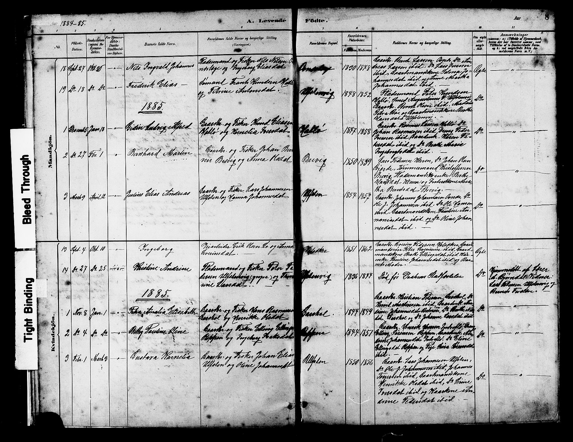 Ministerialprotokoller, klokkerbøker og fødselsregistre - Møre og Romsdal, SAT/A-1454/509/L0112: Parish register (copy) no. 509C02, 1883-1922, p. 8