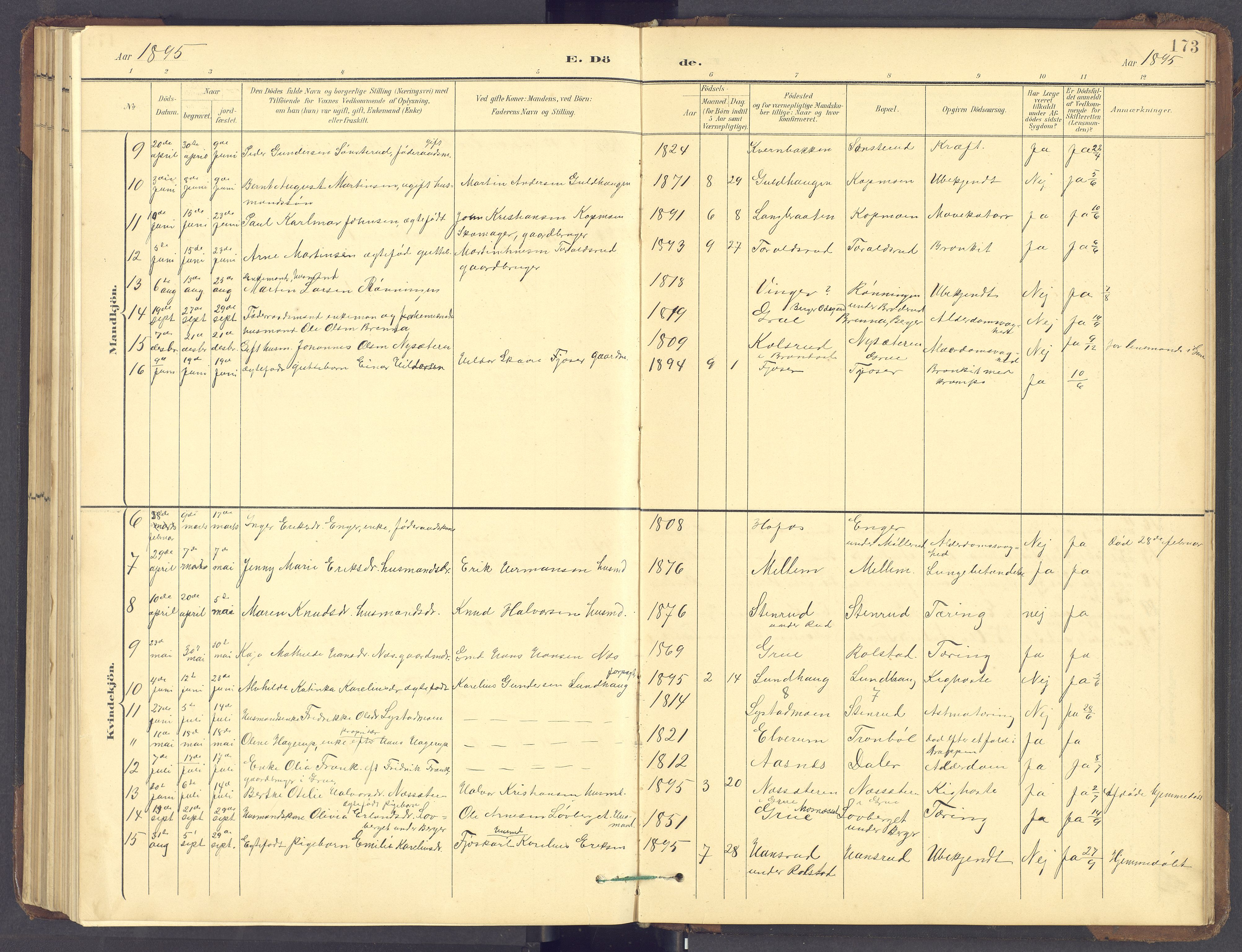 Brandval prestekontor, AV/SAH-PREST-034/H/Ha/Hab/L0002: Parish register (copy) no. 2, 1895-1904, p. 173