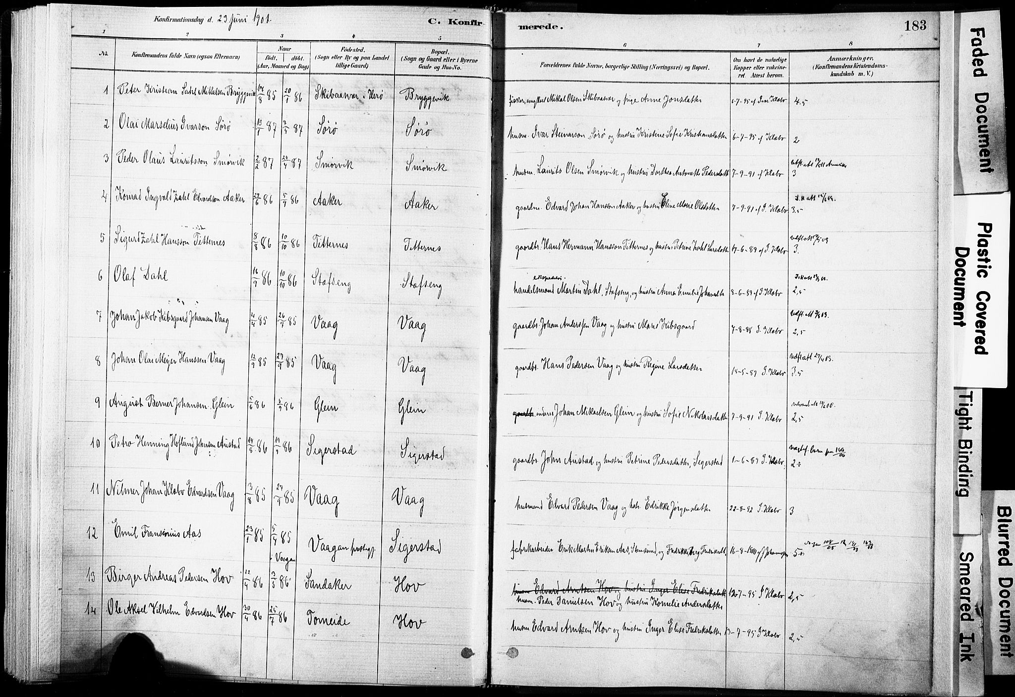 Ministerialprotokoller, klokkerbøker og fødselsregistre - Nordland, SAT/A-1459/835/L0525: Parish register (official) no. 835A03I, 1881-1910, p. 183